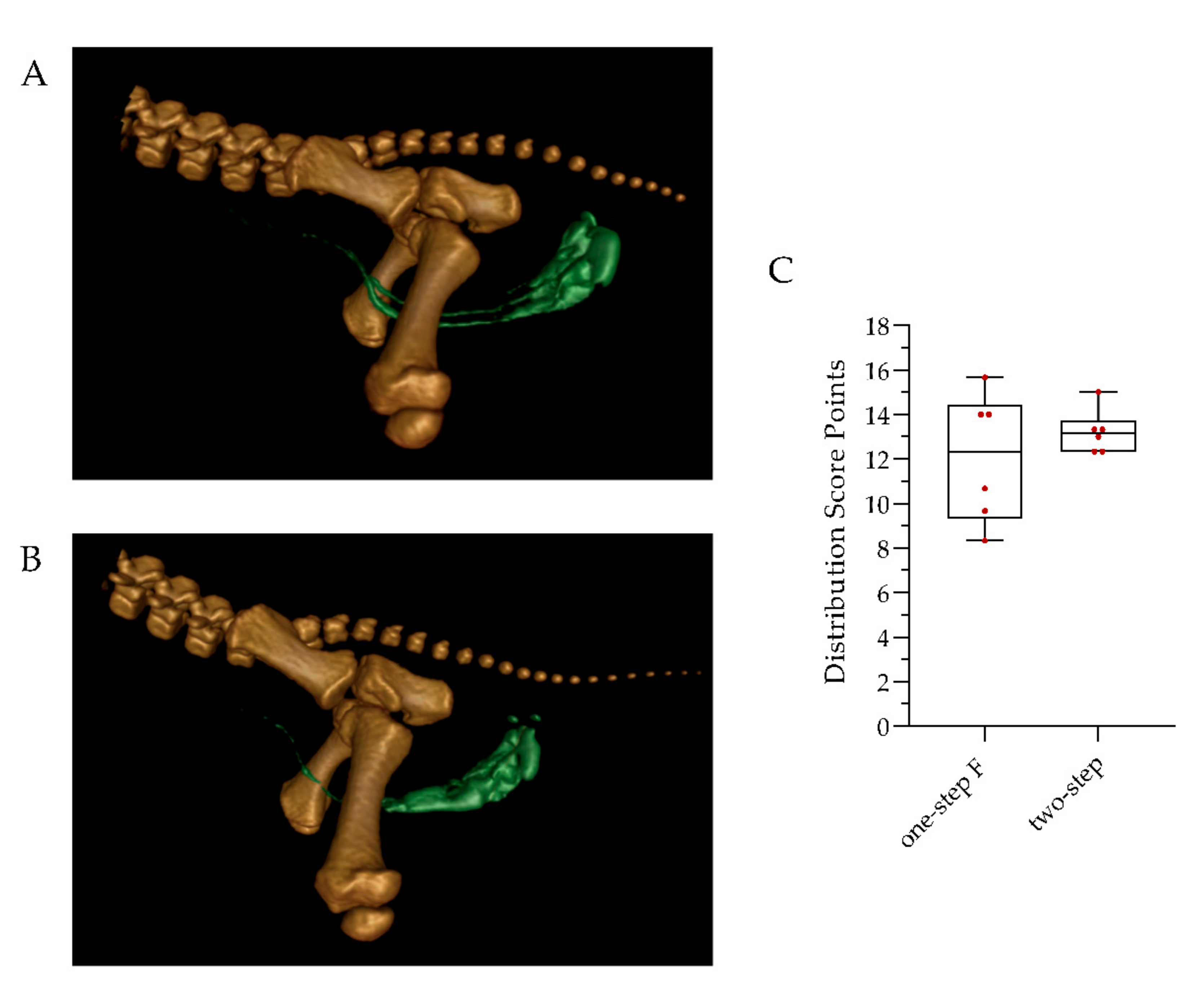 Animals 12 01028 g002