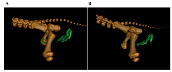 Animals 12 01028 g0a1