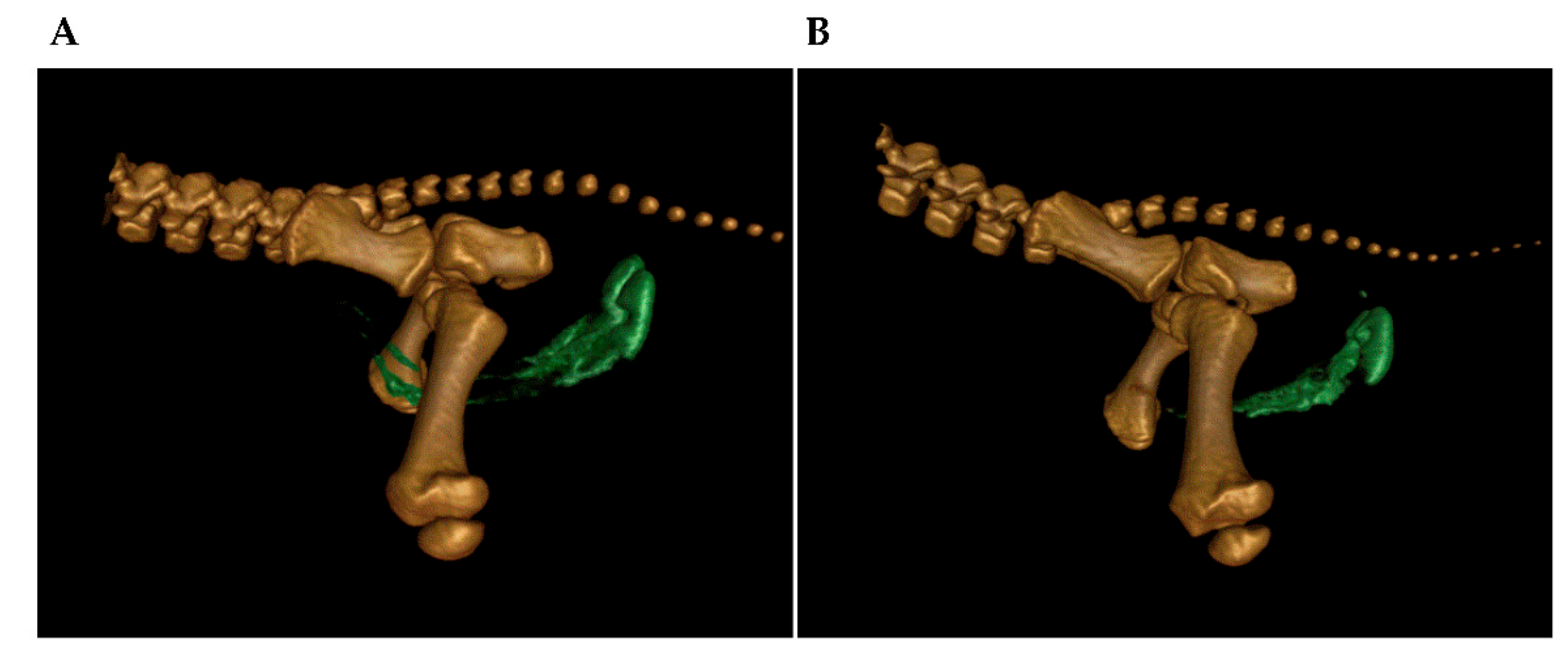 Animals 12 01028 g0a1