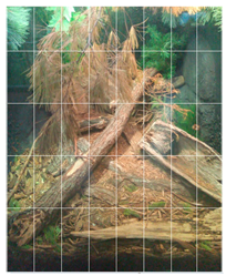 Animals 12 01034 i002