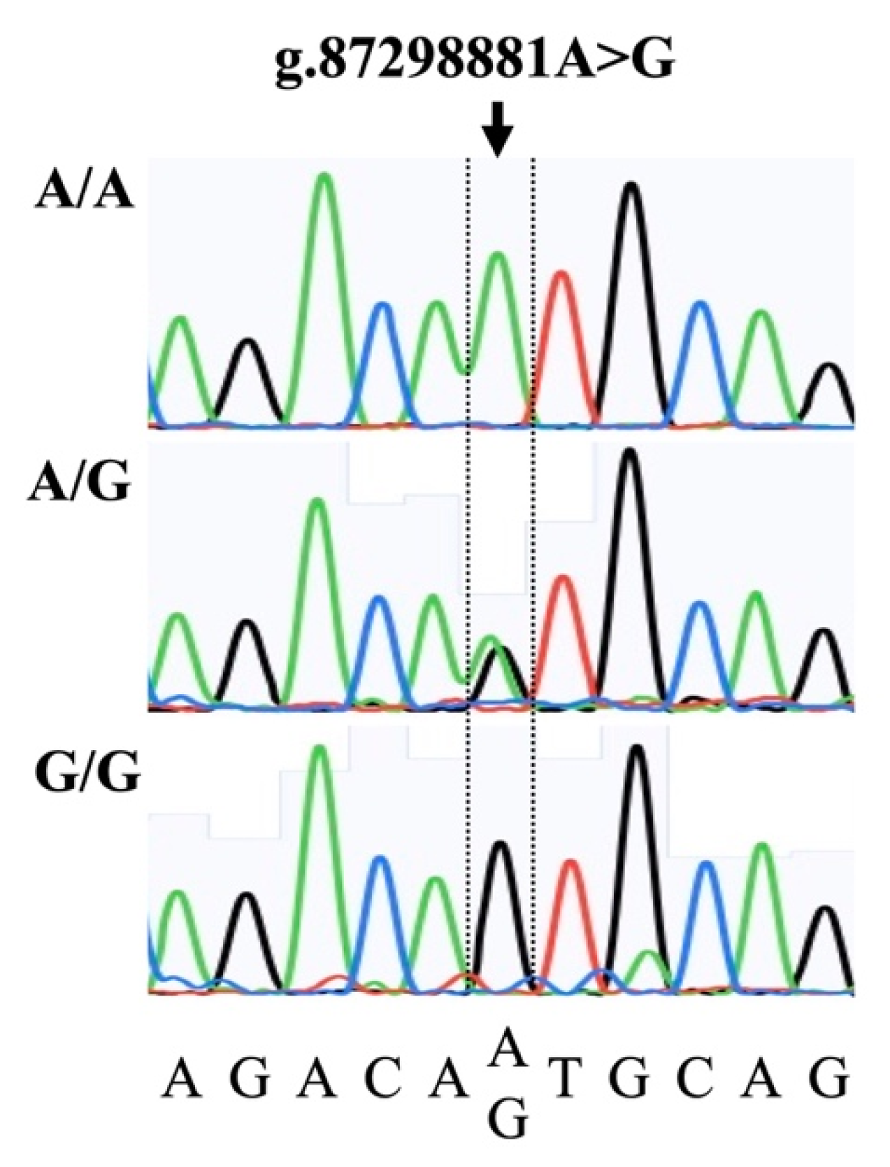 Animals 12 01044 g001 Animals 12 01044 g001