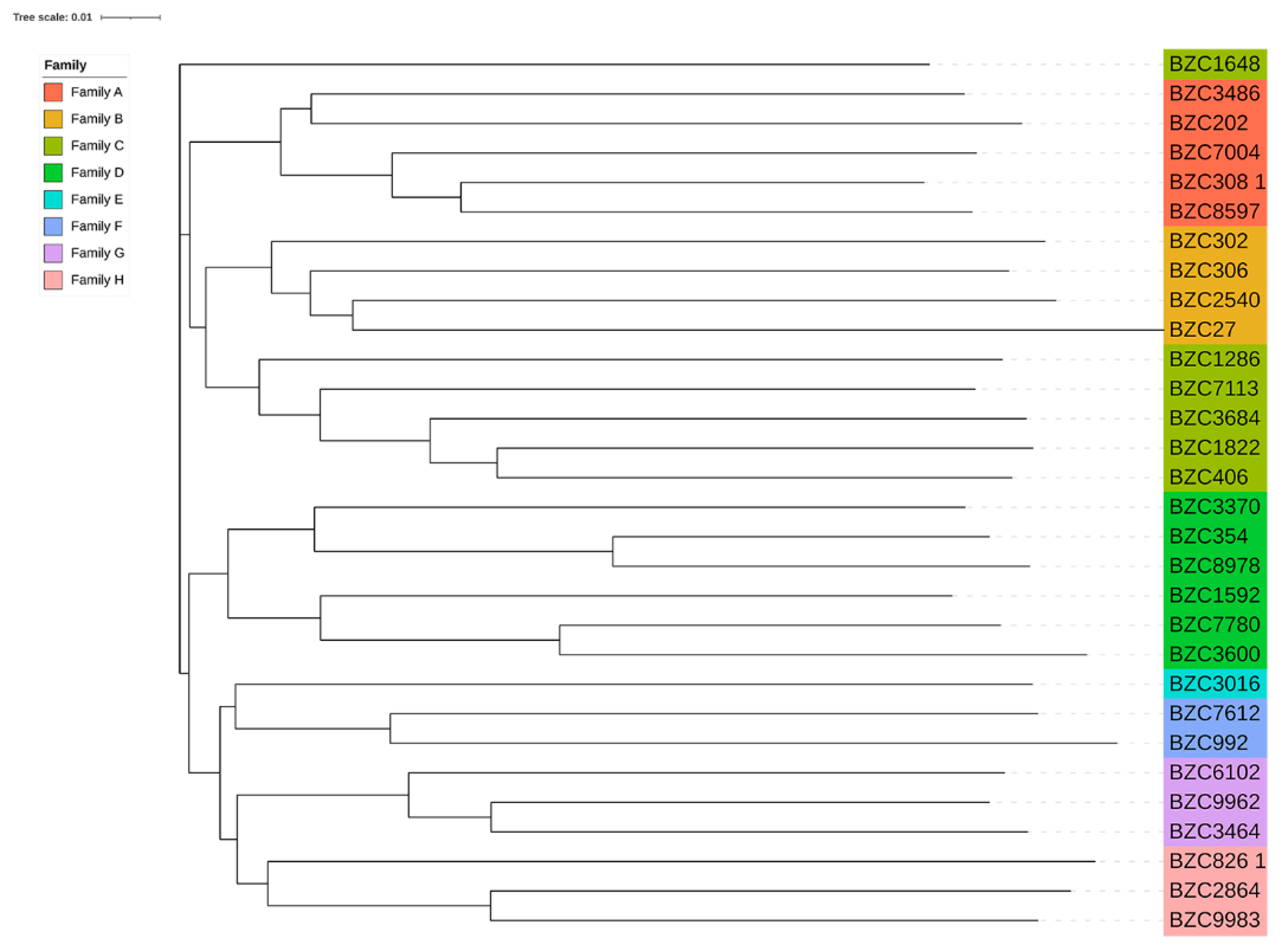 Animals 12 01045 g002