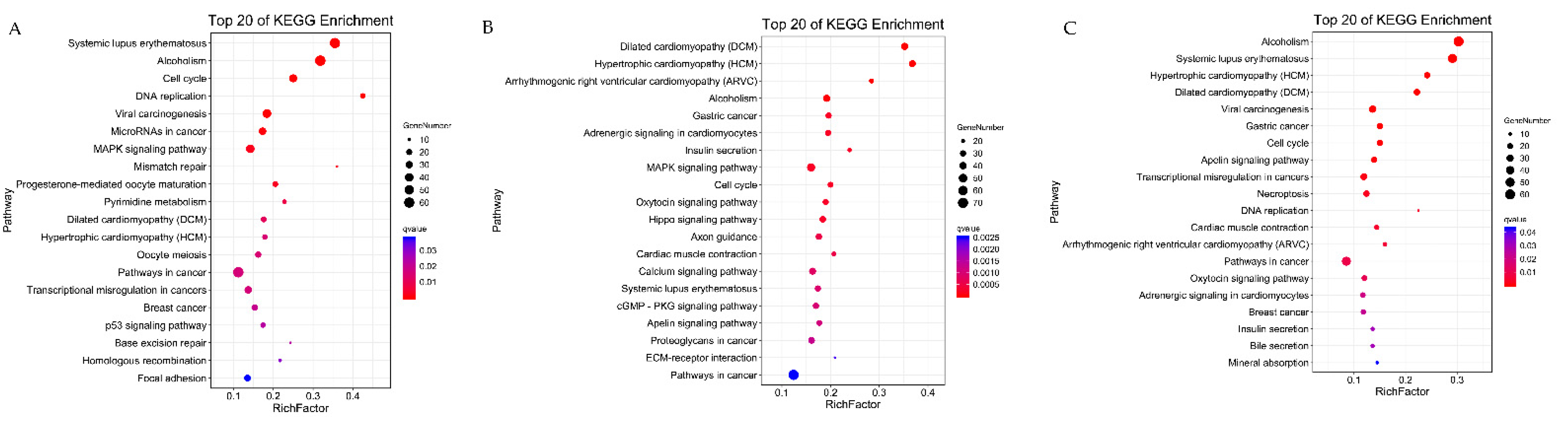 Animals 12 01048 g006