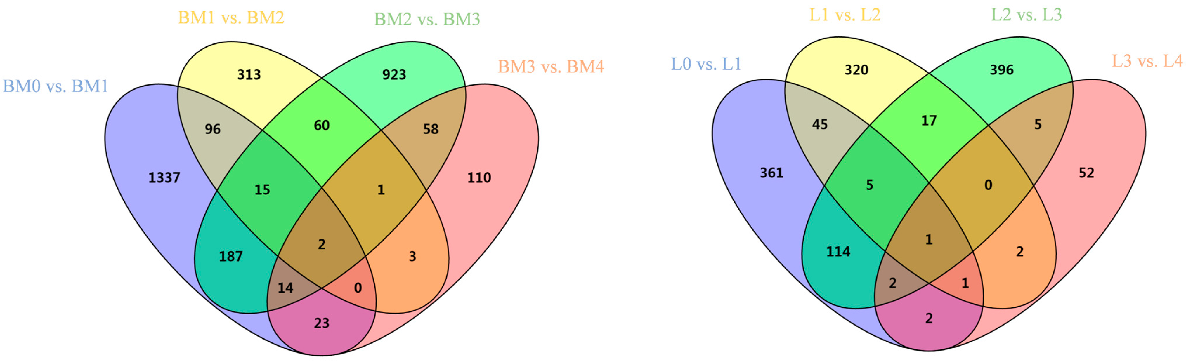 Animals 12 01061 g001