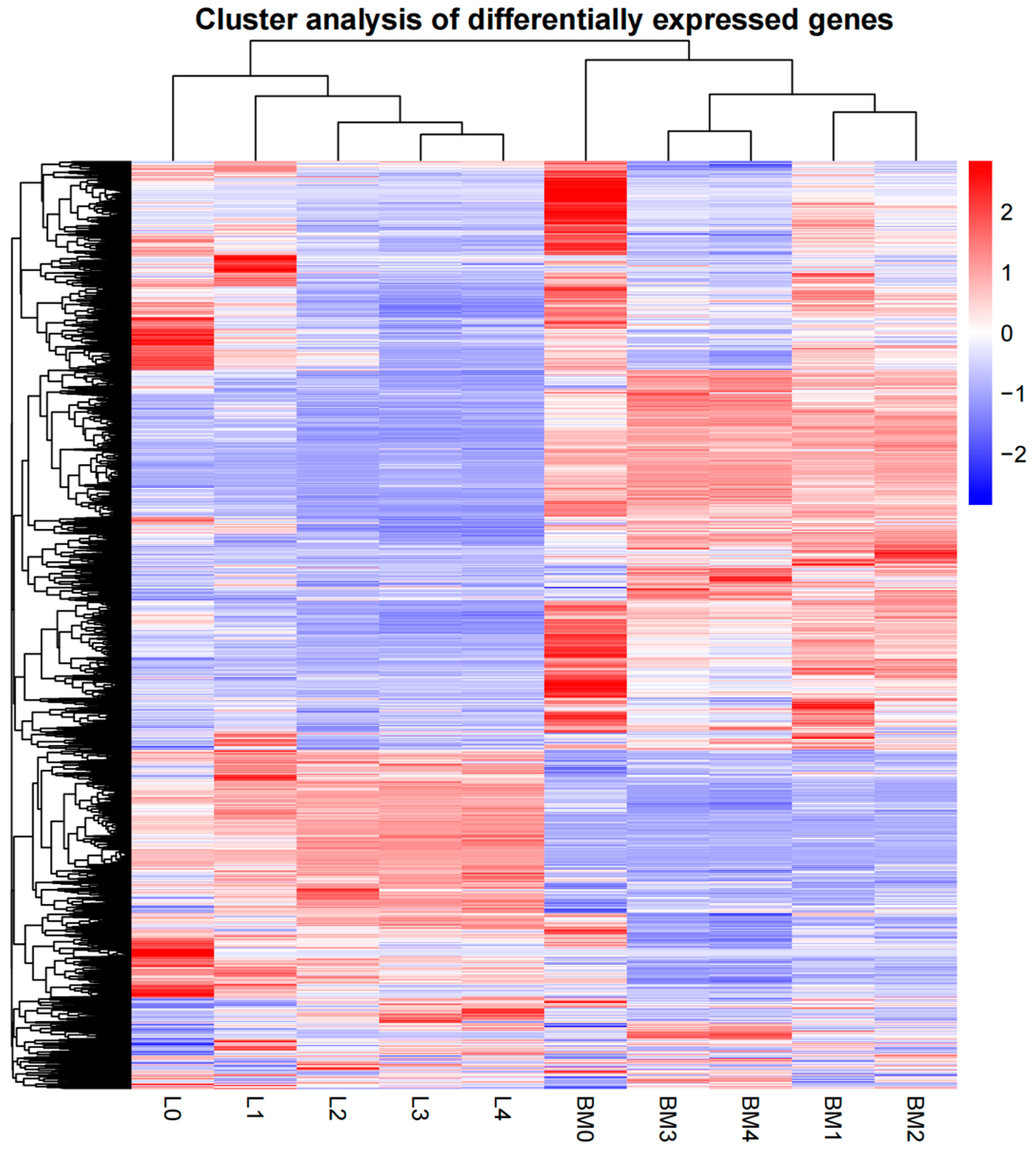 Animals 12 01061 g003