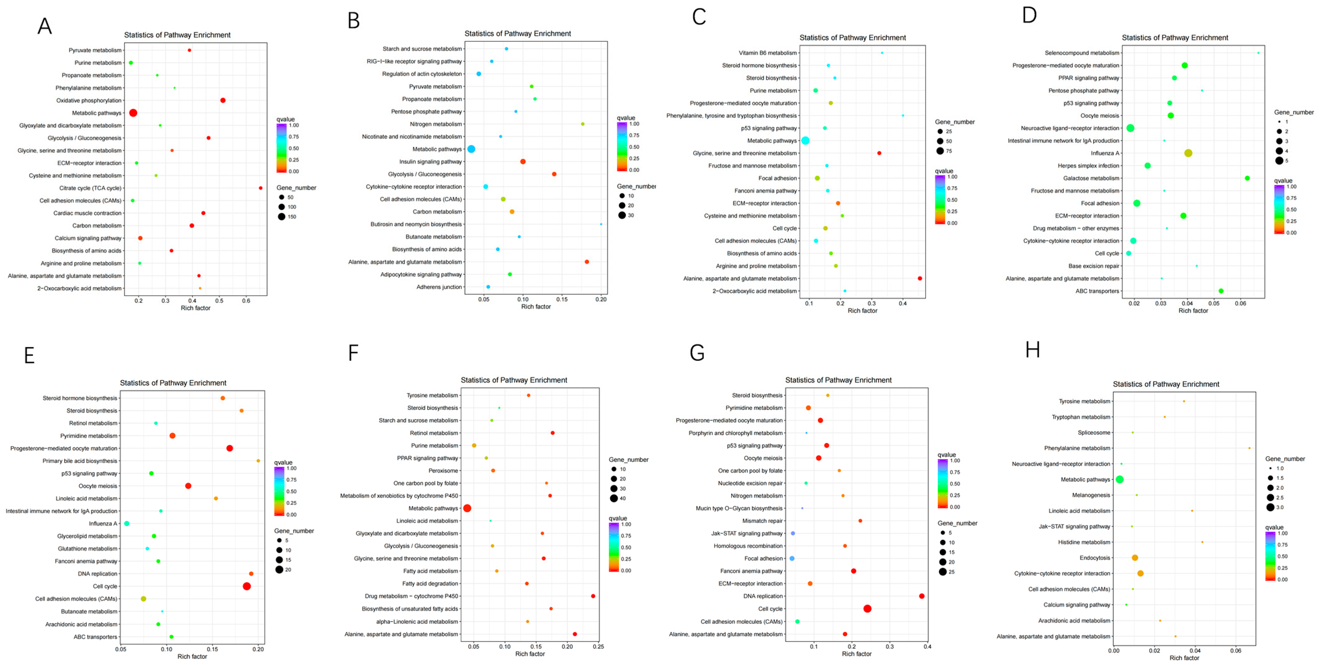 Animals 12 01061 g005