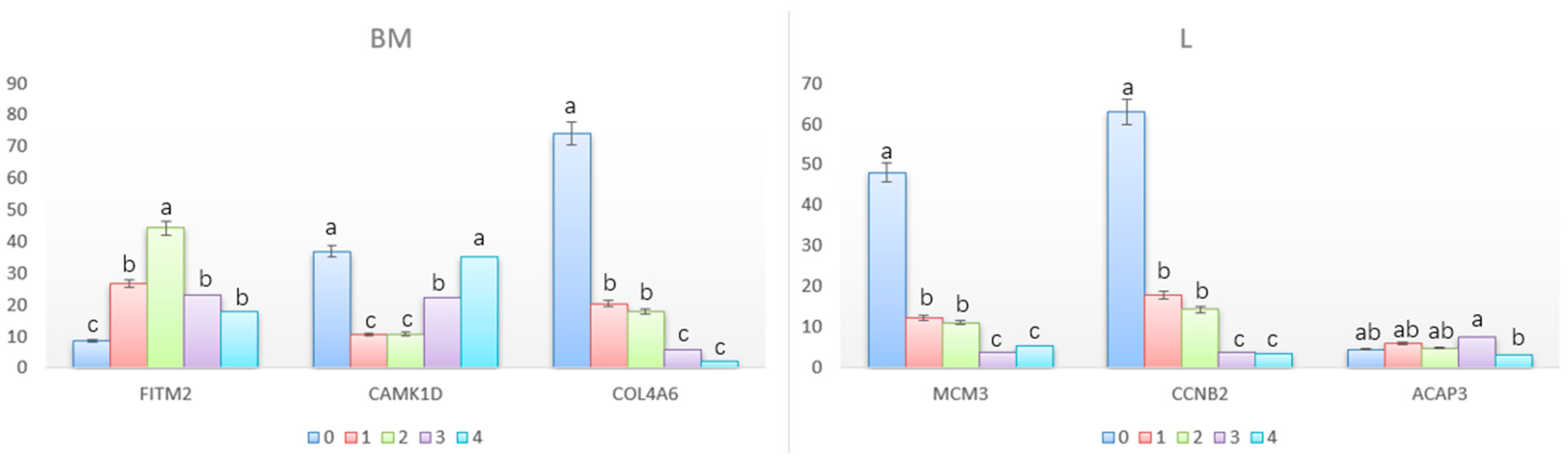 Animals 12 01061 g007