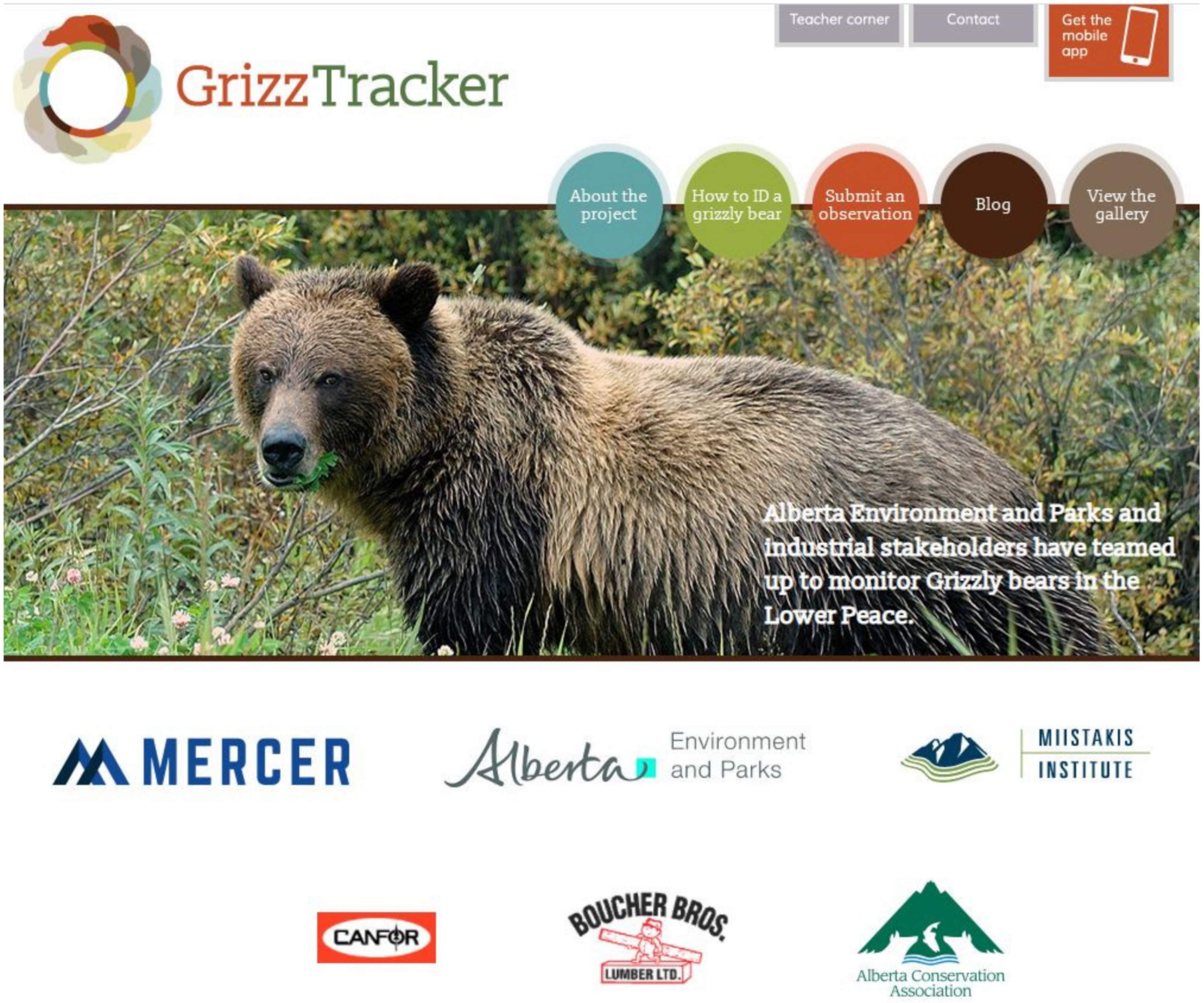 Animals 12 01068 g002