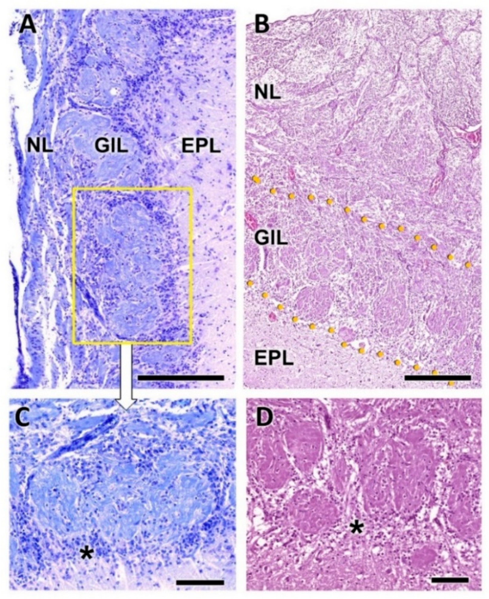 Animals 12 01079 g004