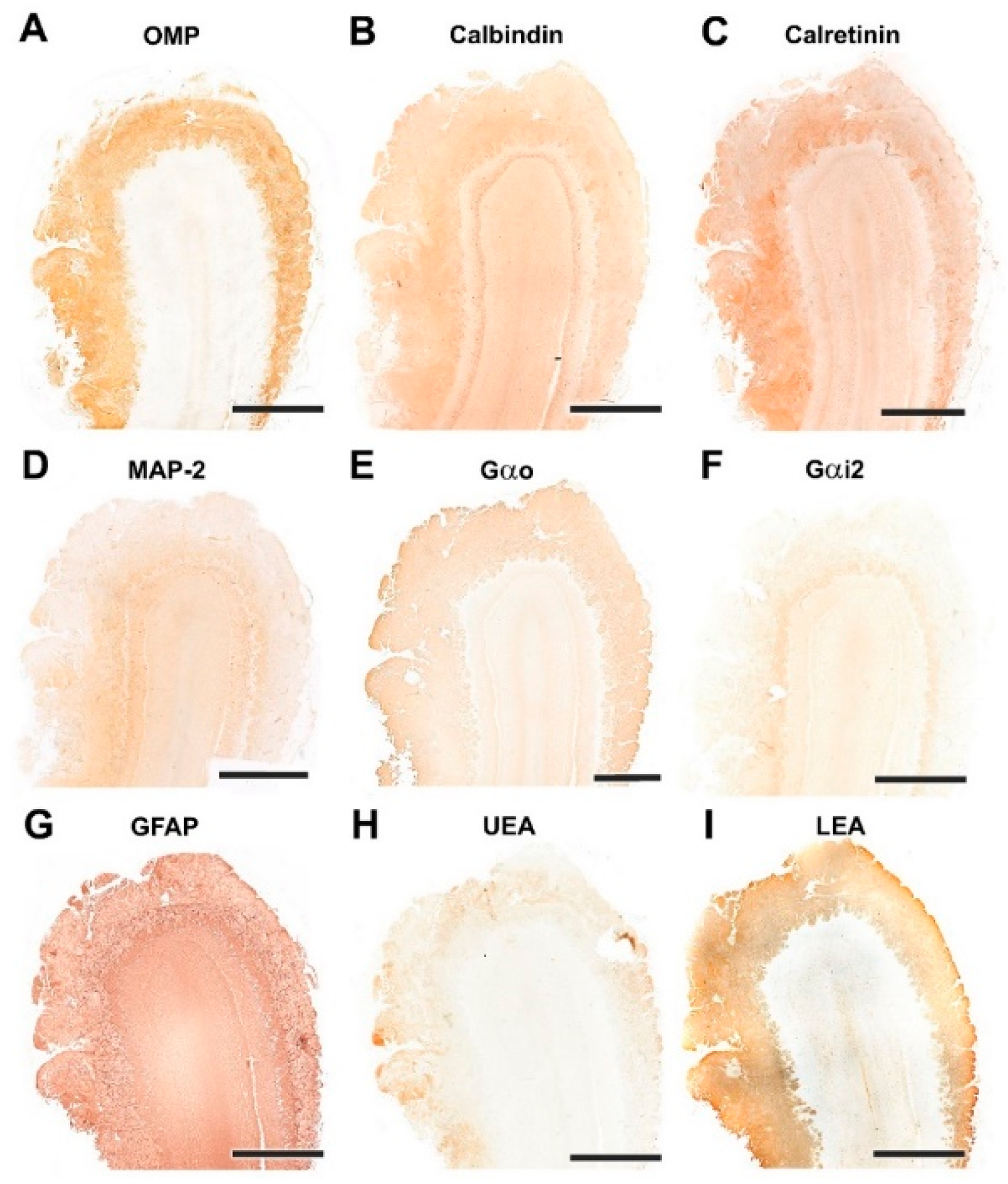 Animals 12 01079 g007