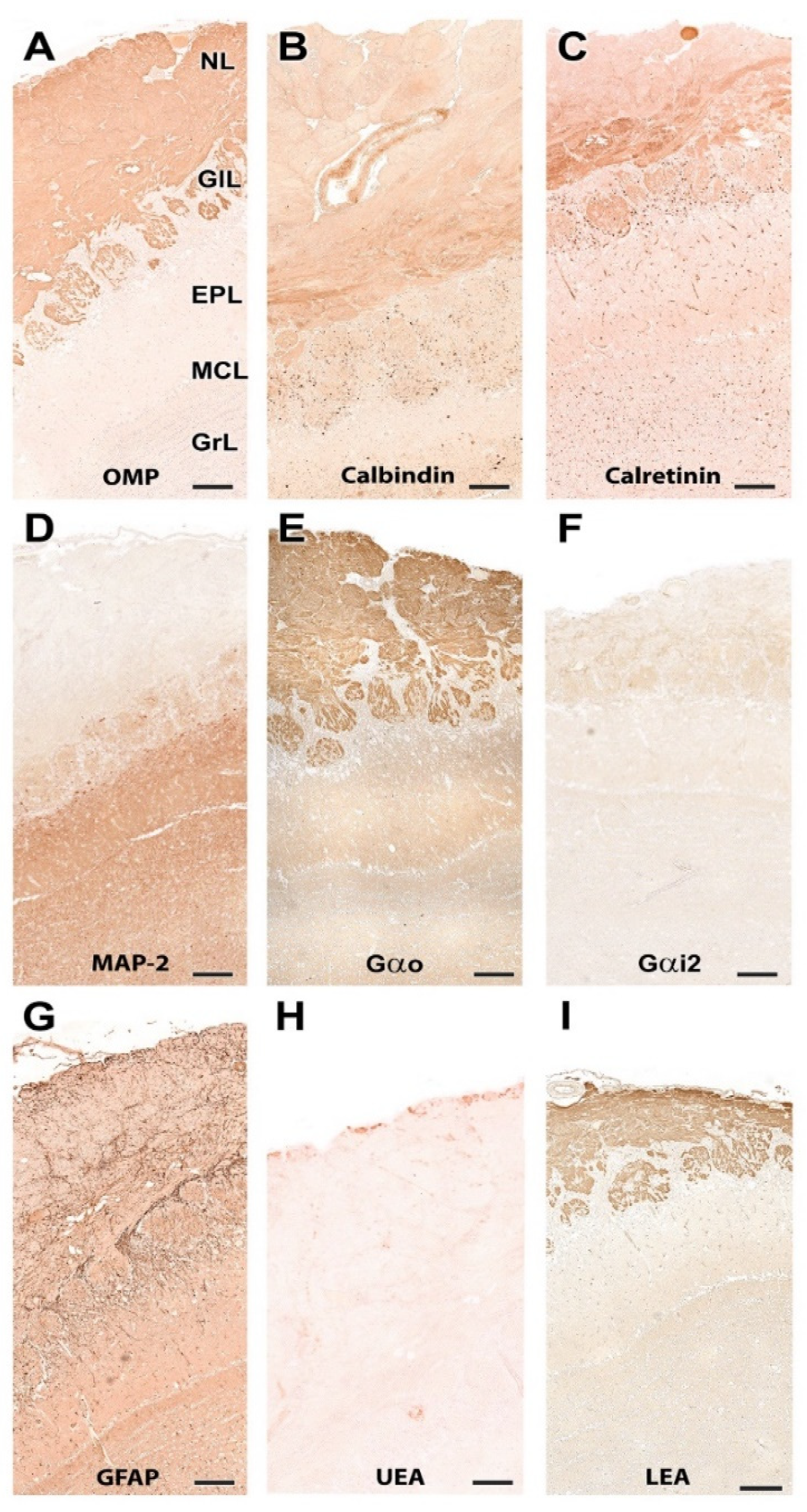 Animals 12 01079 g015