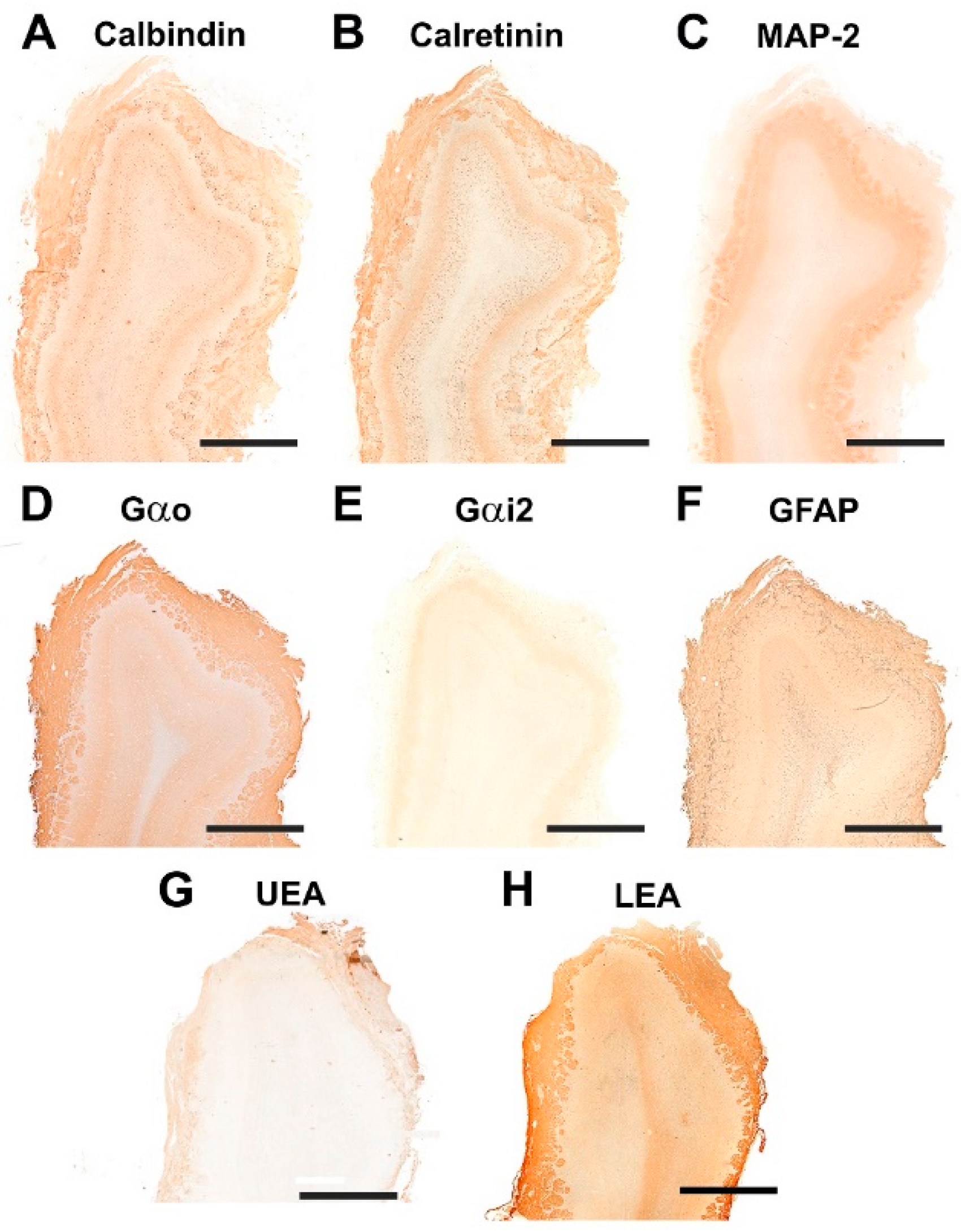 Animals 12 01079 g022