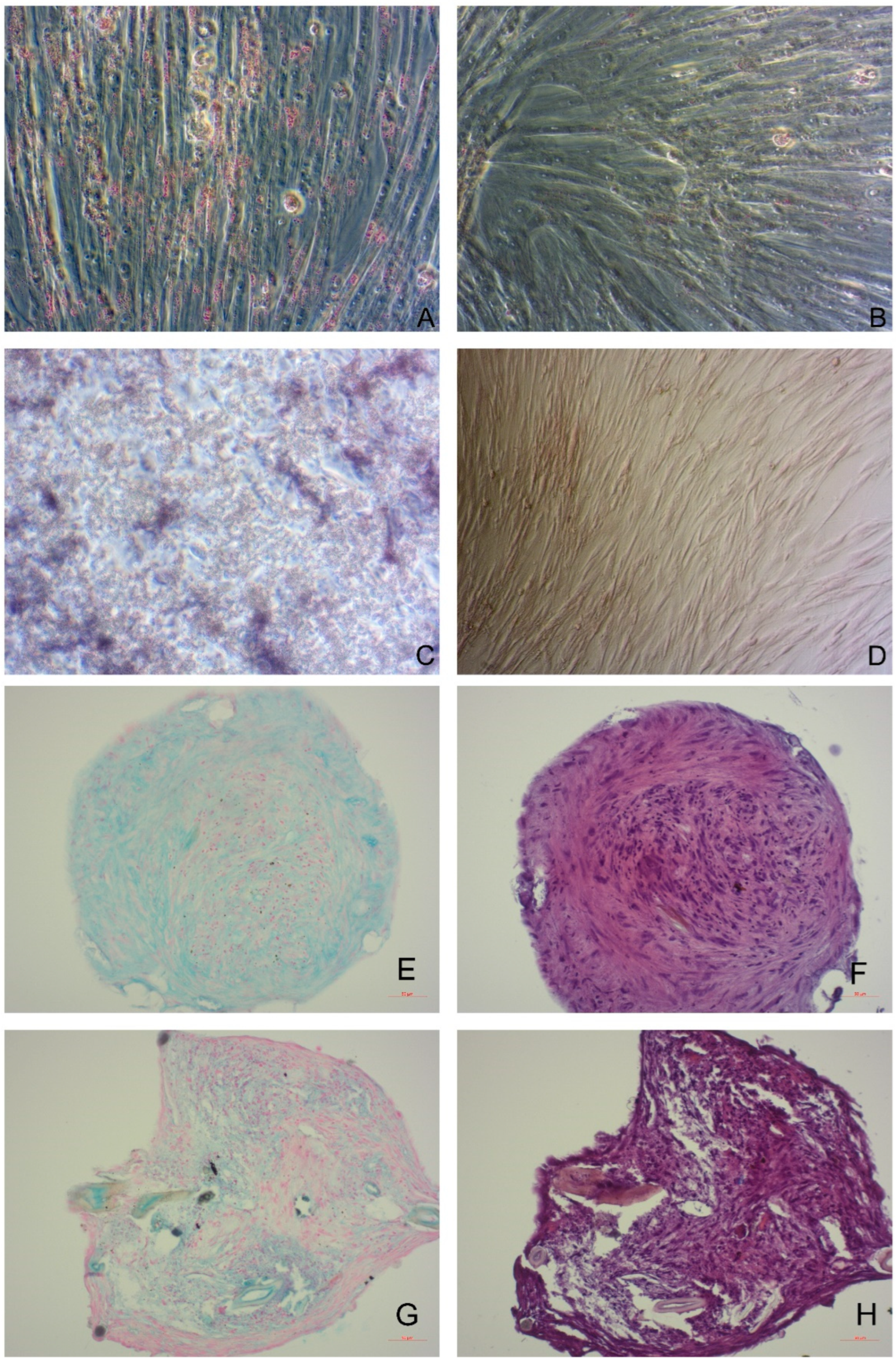 Animals 12 01088 g004