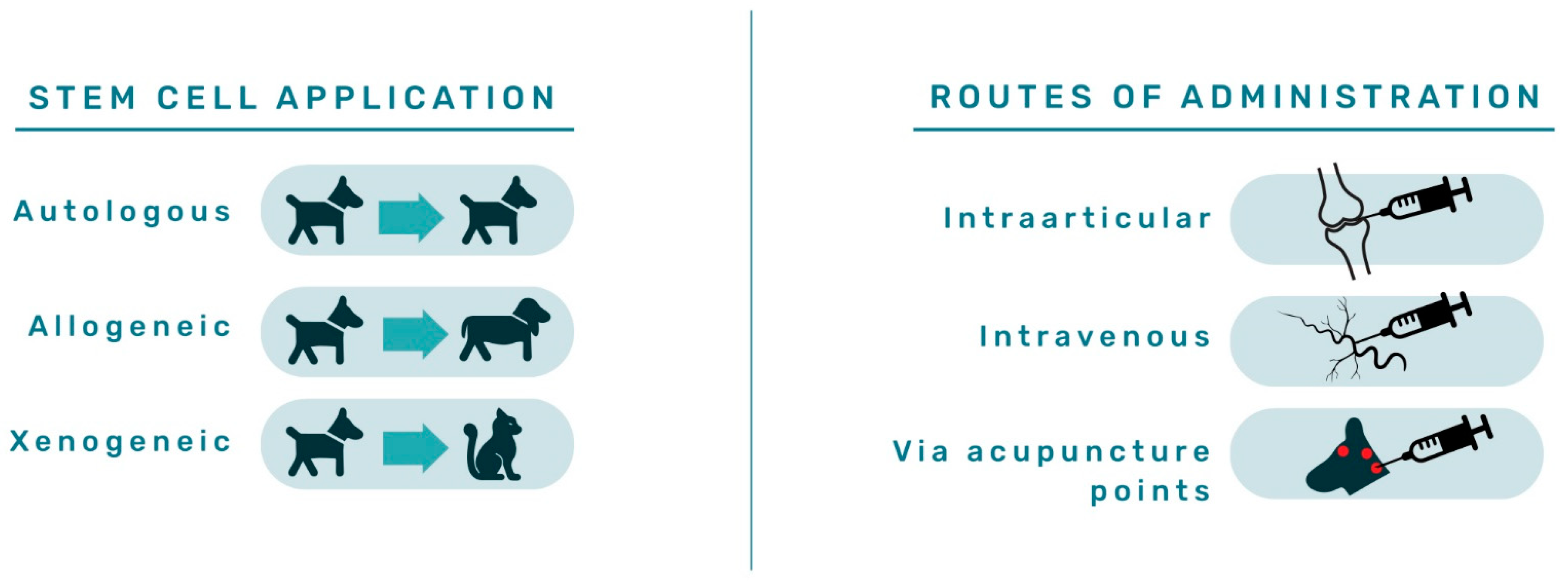 Animals 12 01088 g006