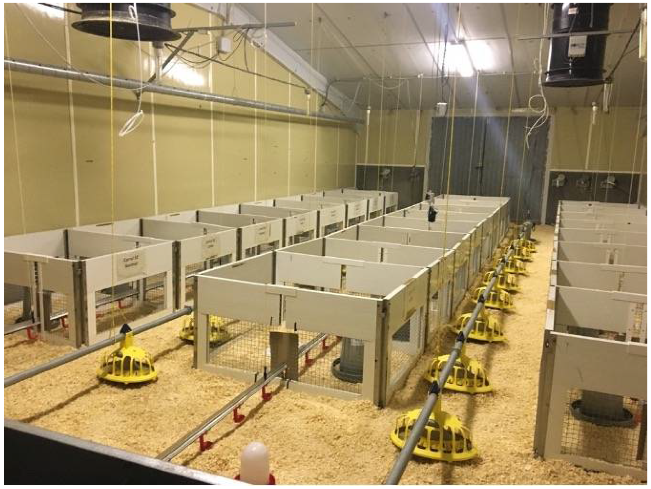 Animals 12 01096 g002