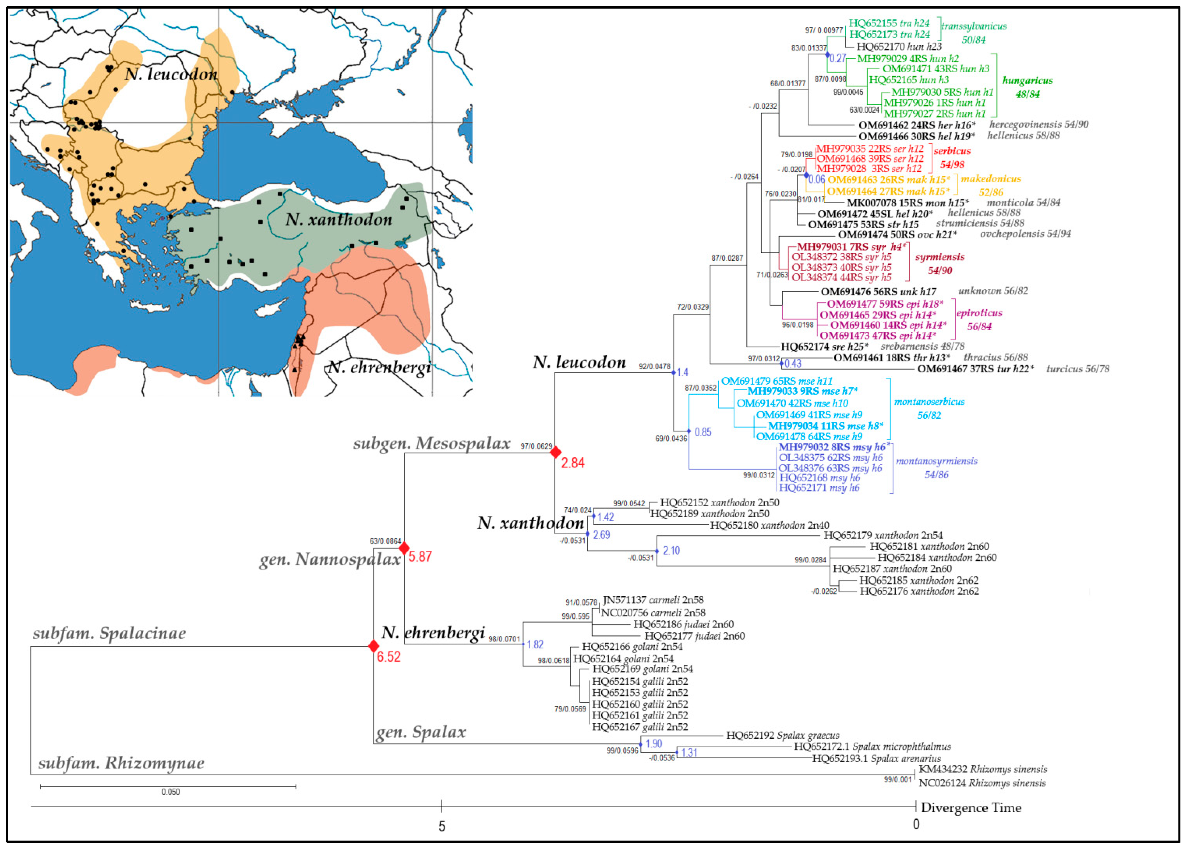 Animals 12 01097 g002