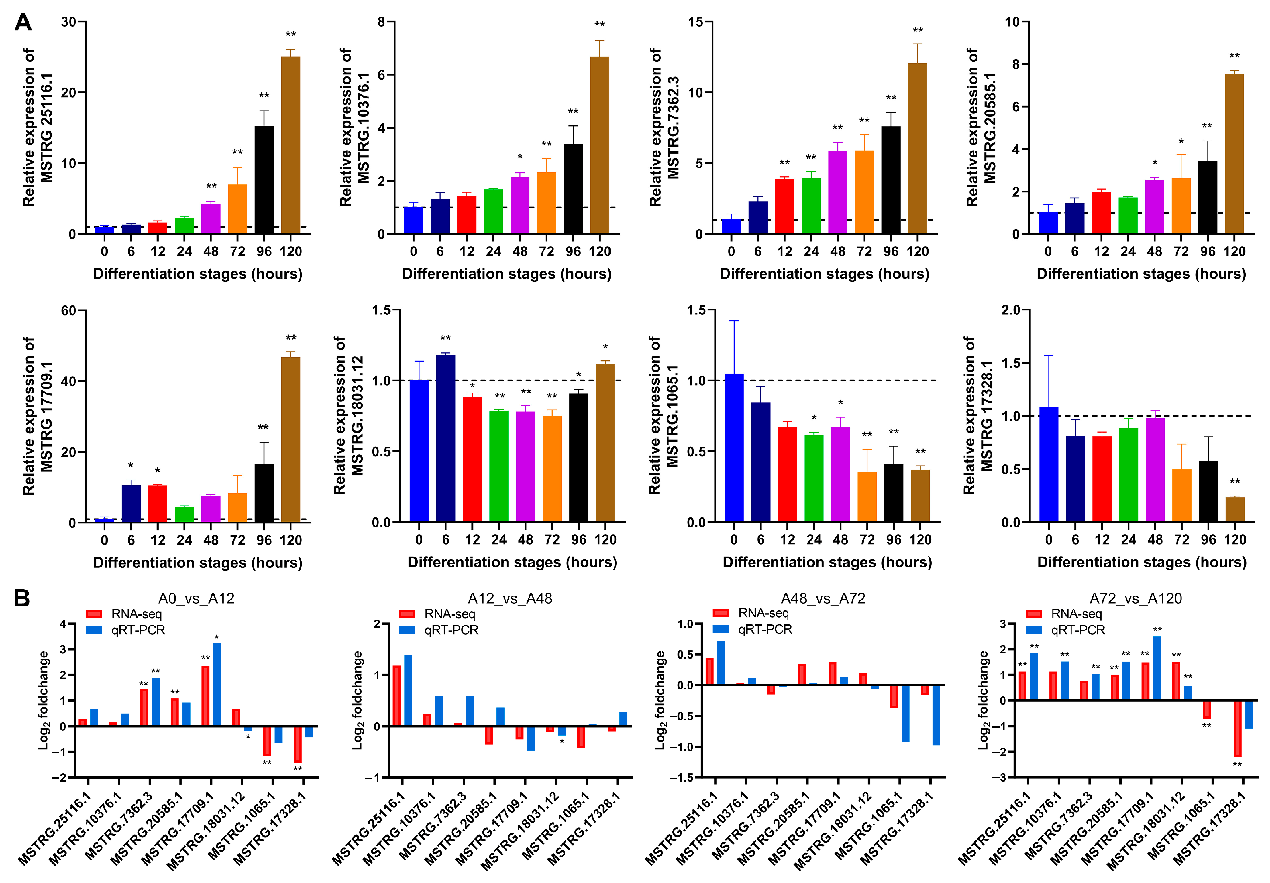 Animals 12 01099 g002