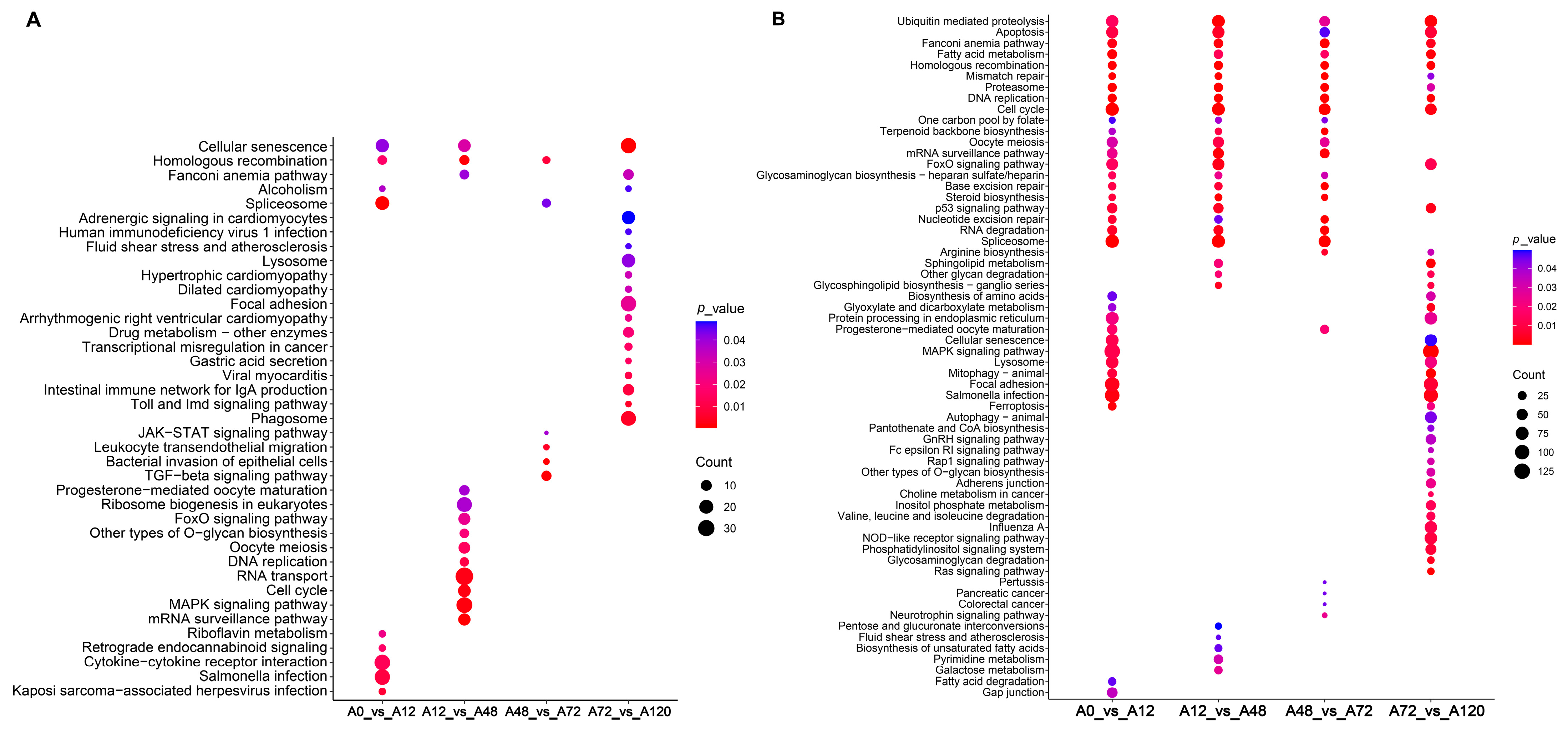 Animals 12 01099 g003