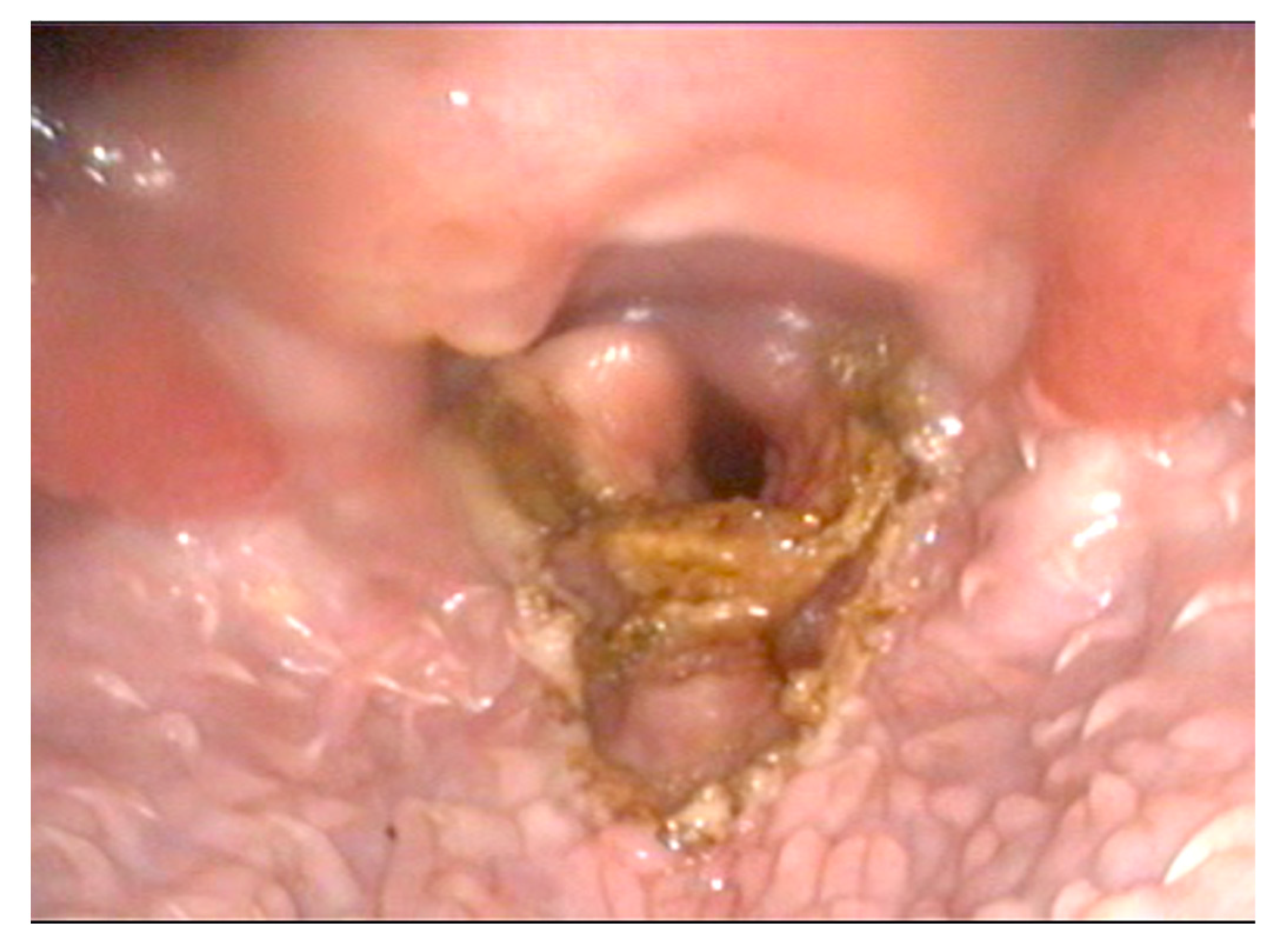 Animals 12 01118 g001