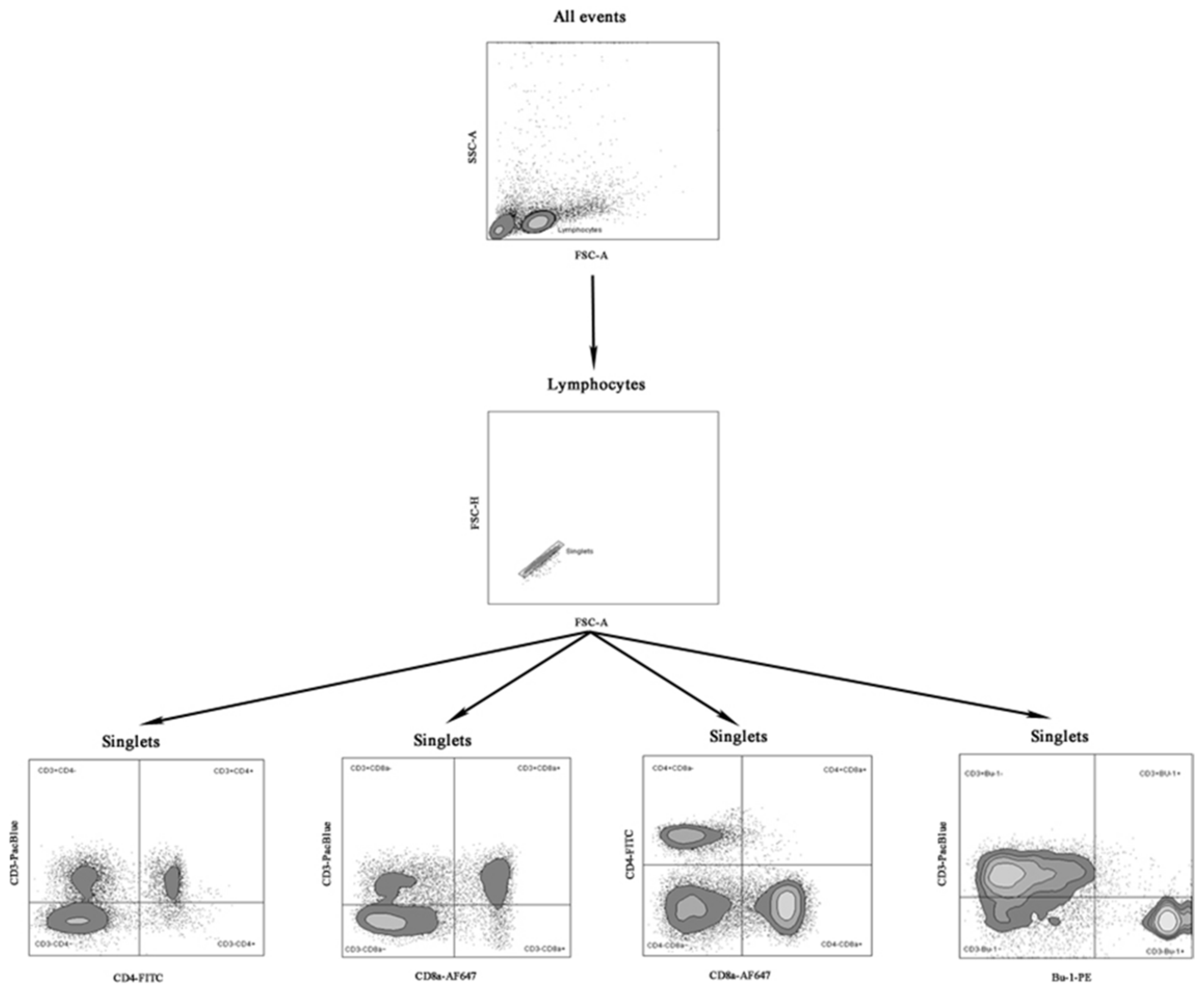 Animals 12 01133 g001