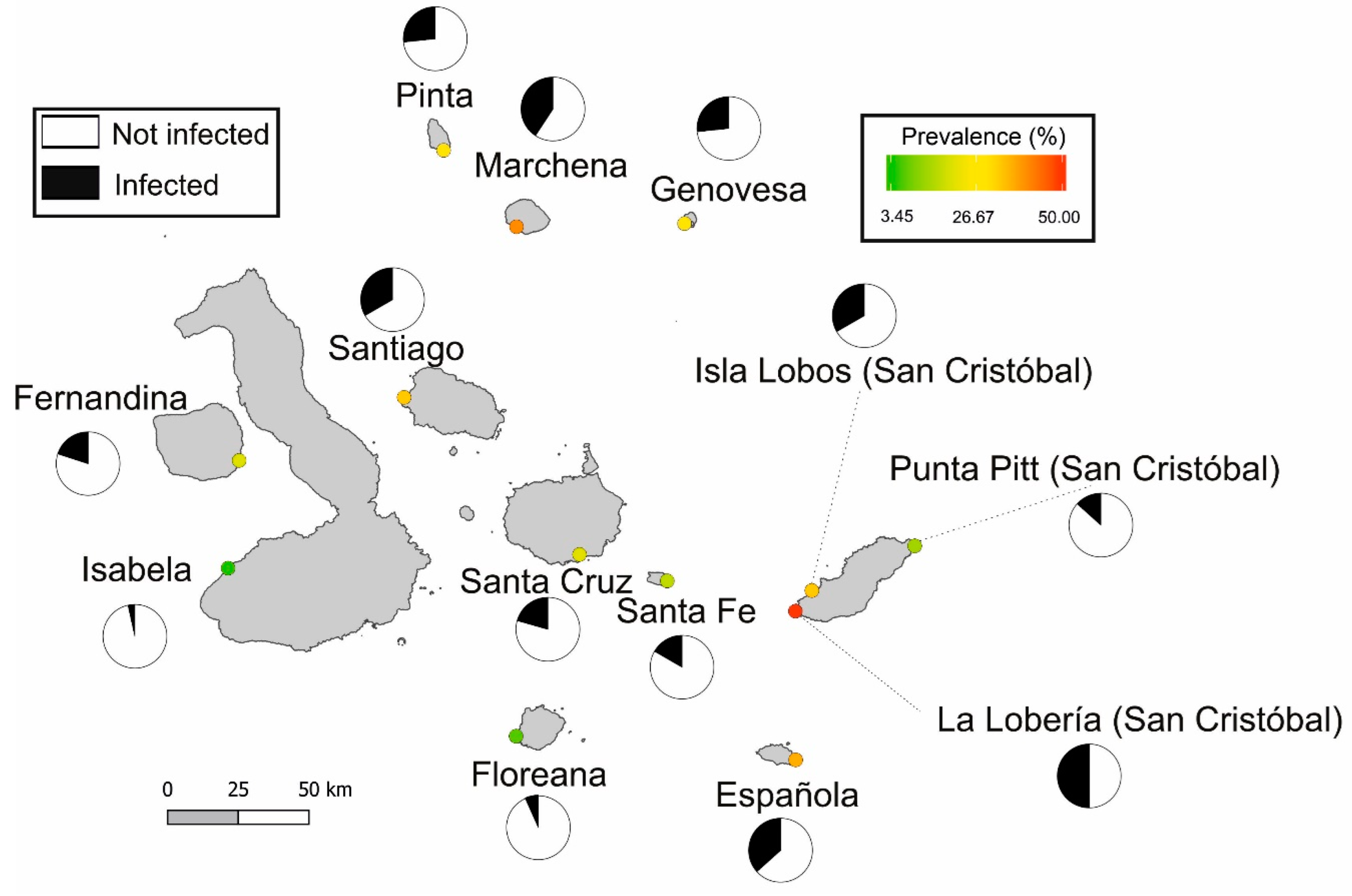 Animals 12 01142 g001