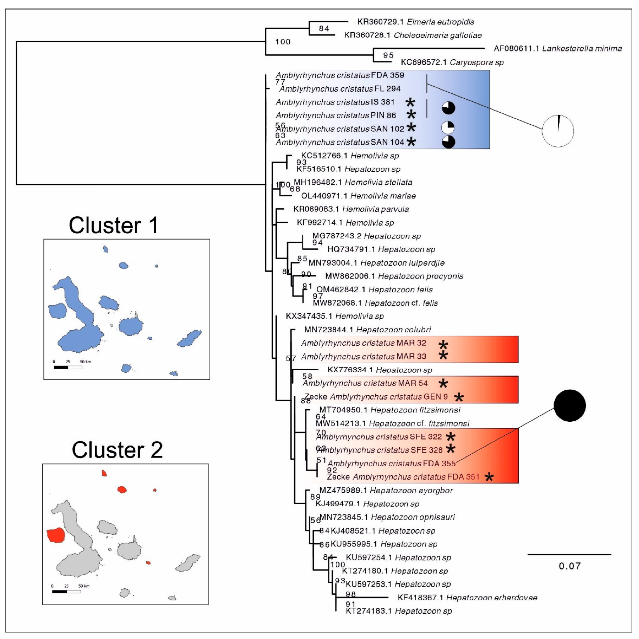 Animals 12 01142 g002