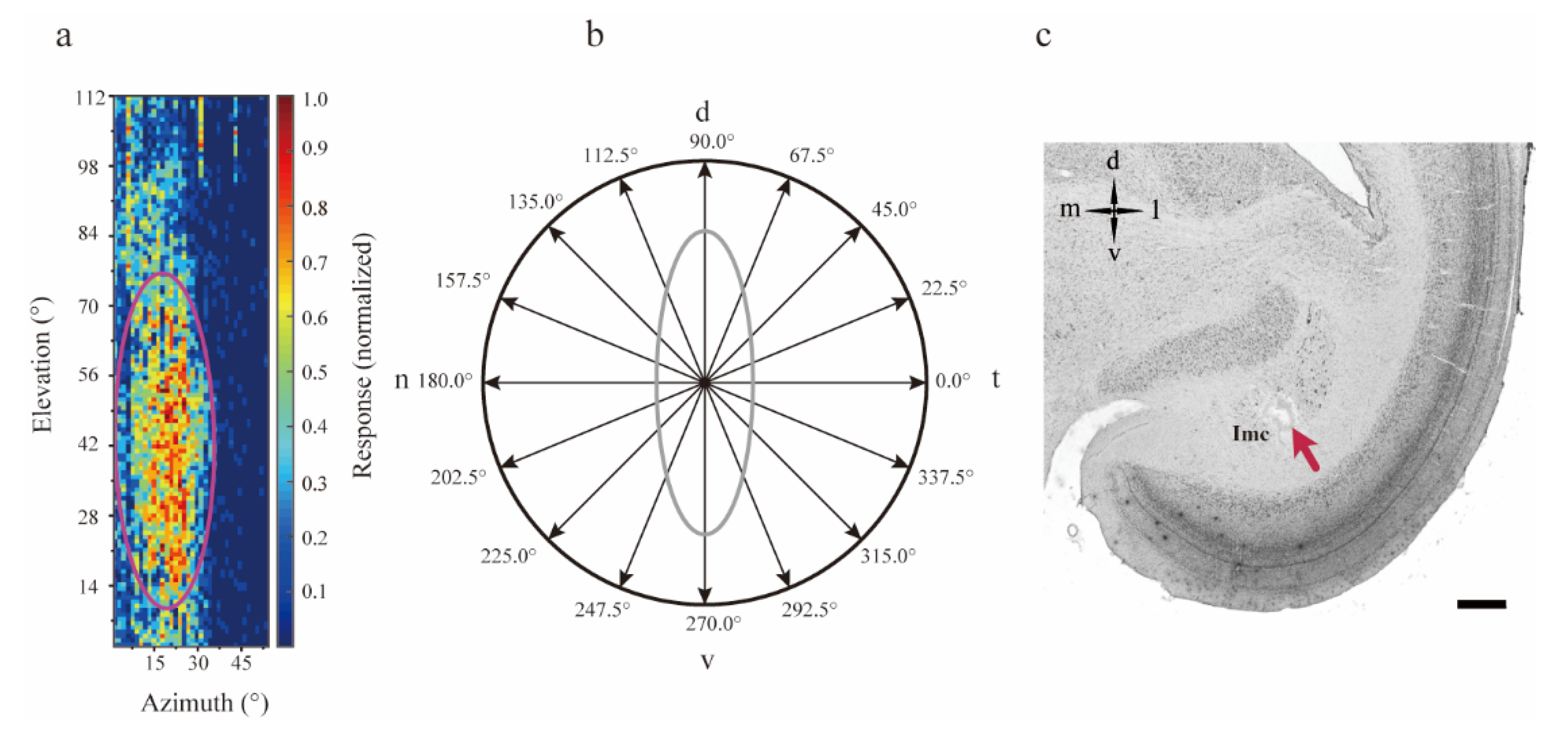 Animals 12 01143 g001