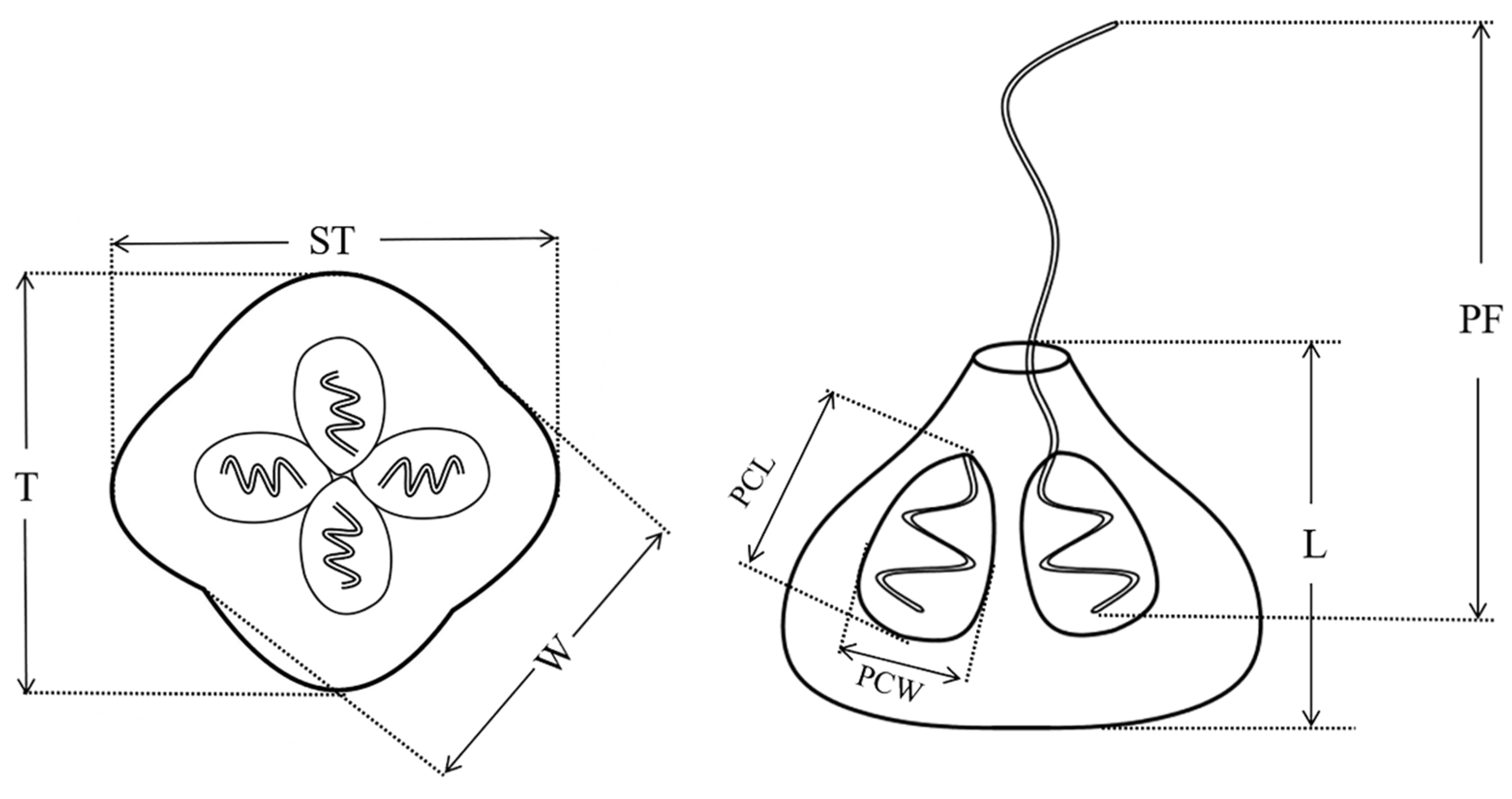 Animals 12 01145 g003