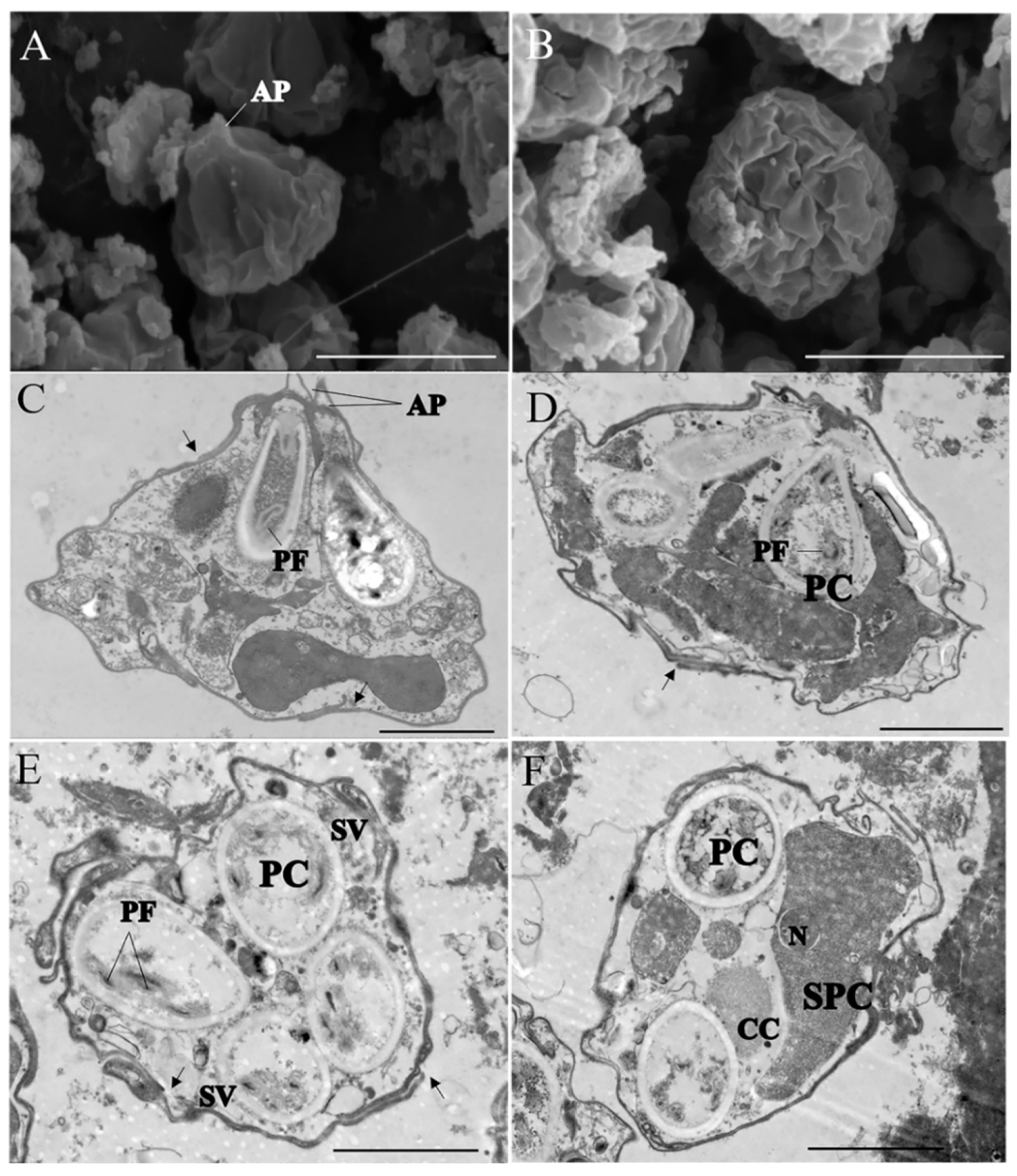 Animals 12 01145 g005