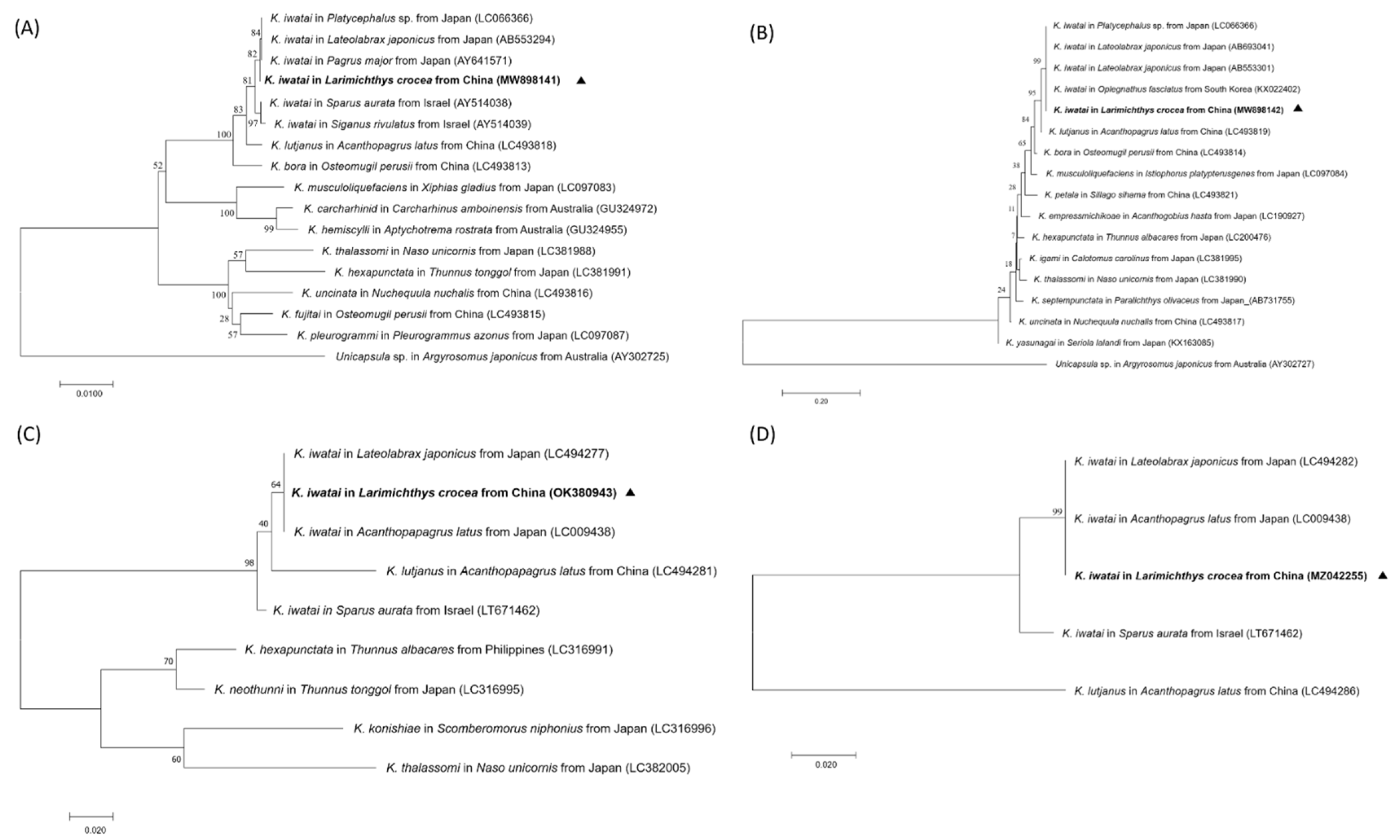 Animals 12 01145 g006