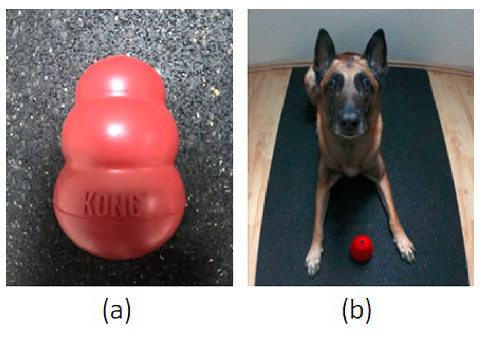 Animals 12 01153 g001