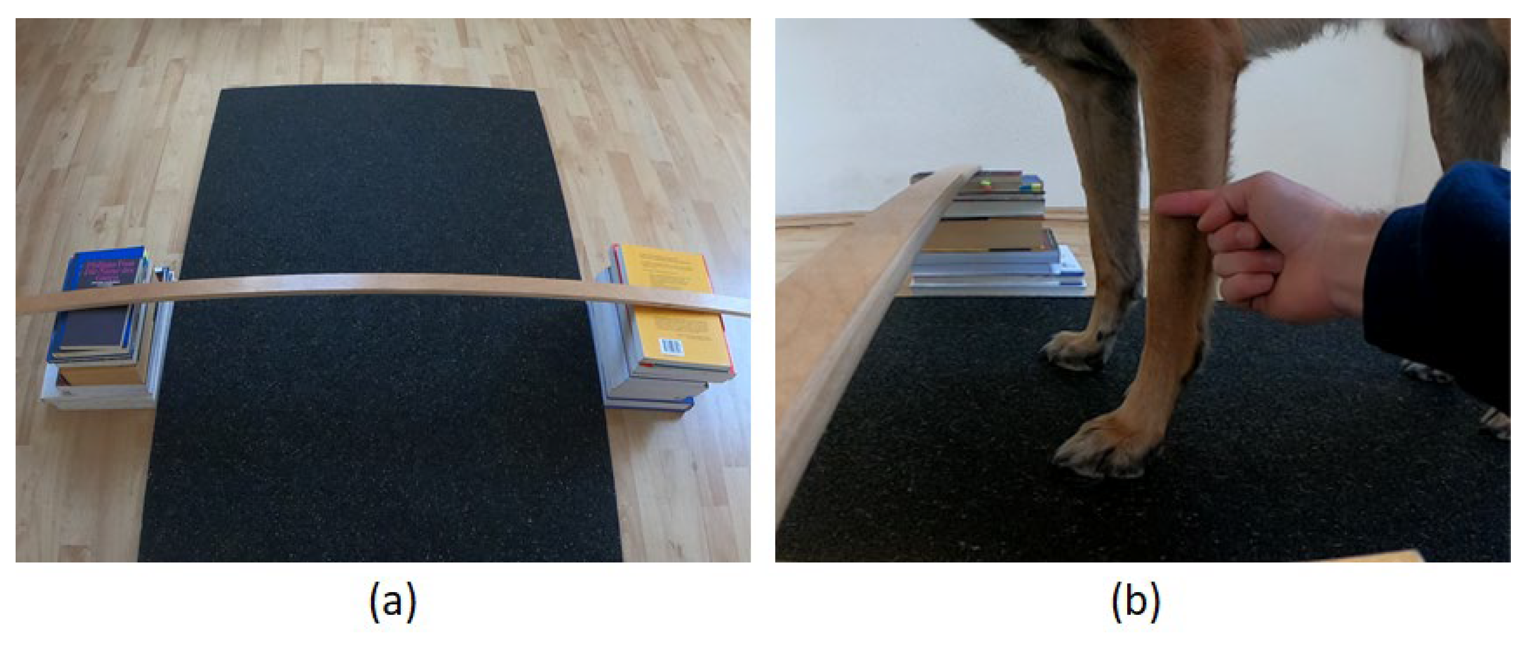 Animals 12 01153 g004