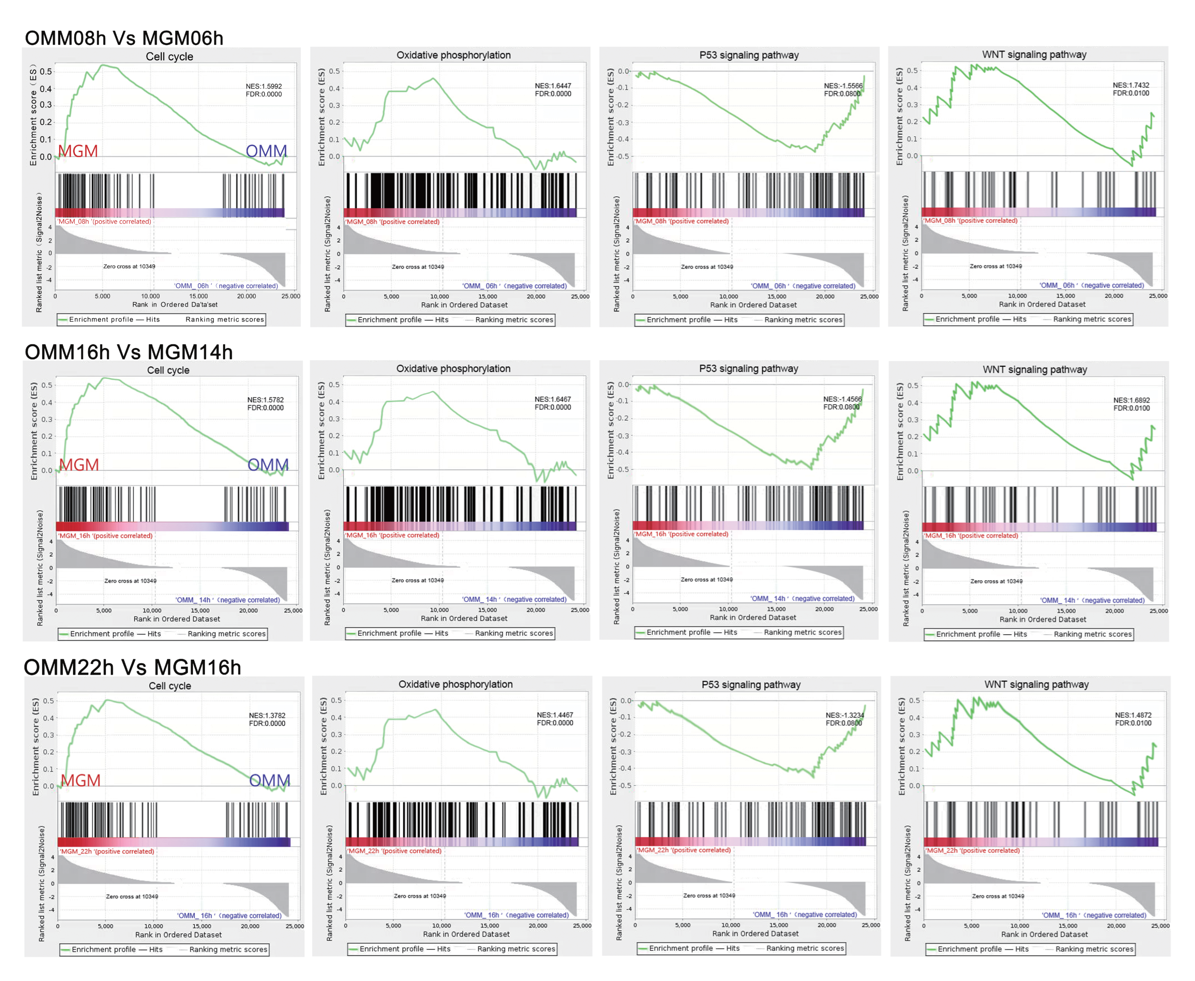 Animals 12 01158 g004