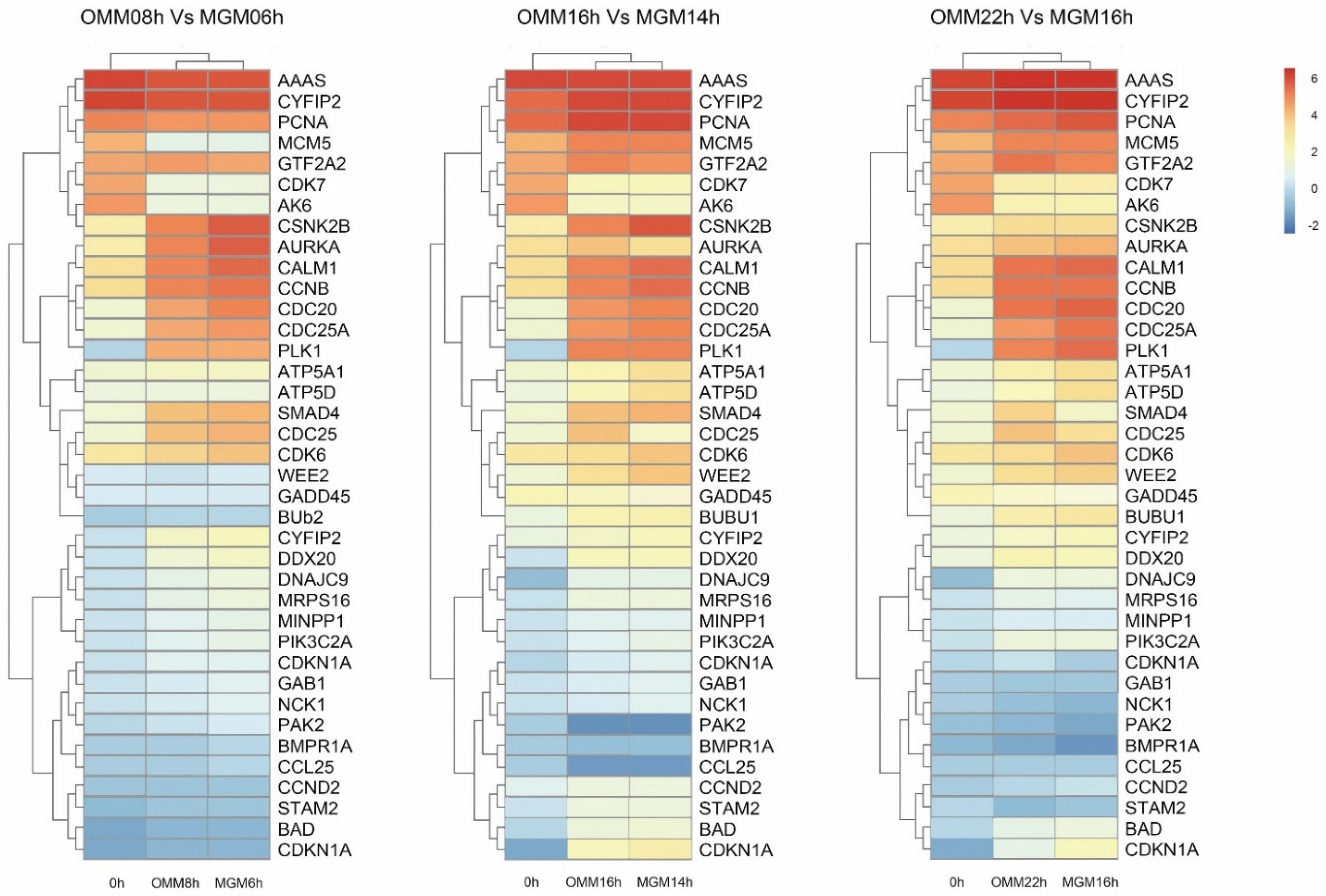 Animals 12 01158 g005