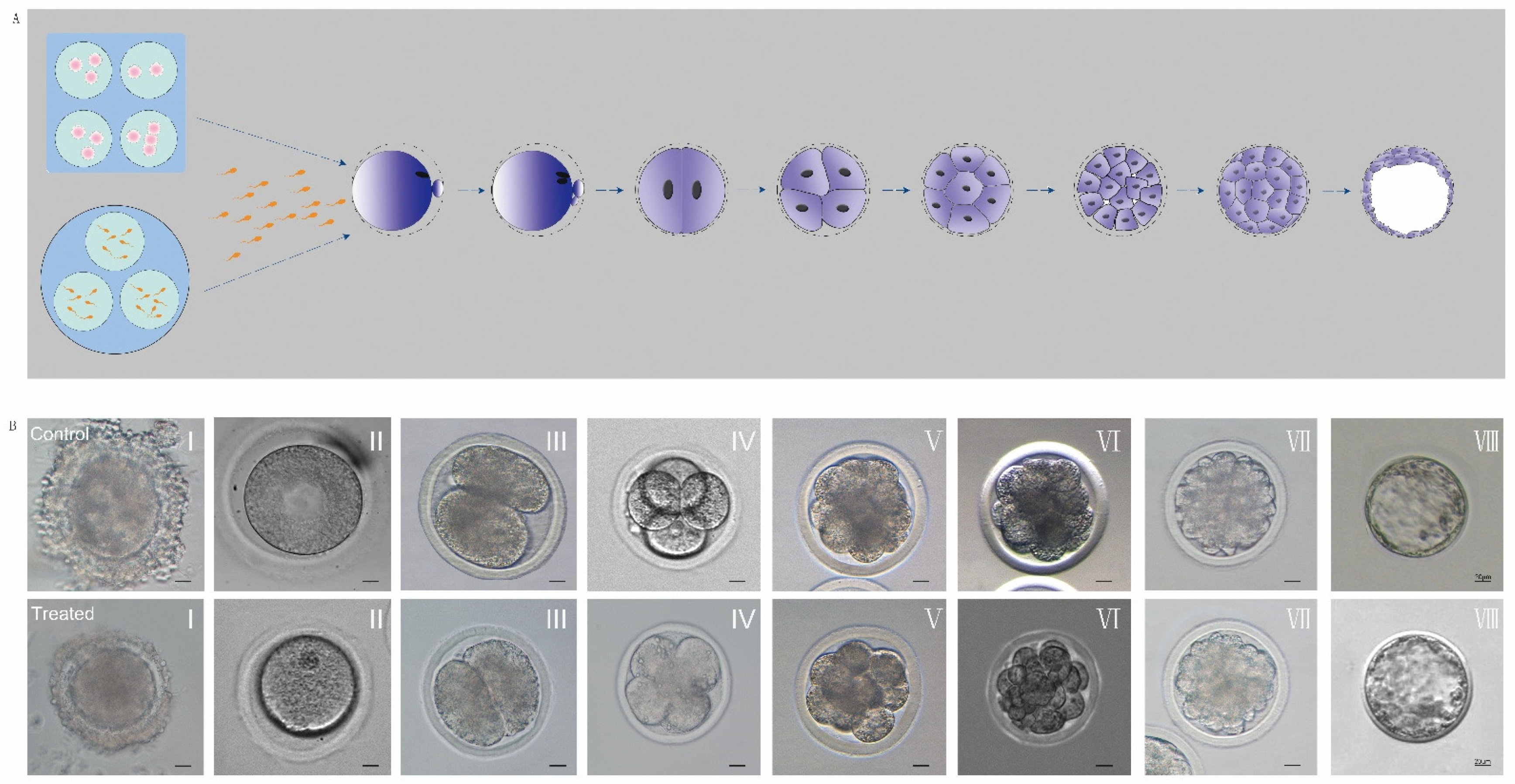 Animals 12 01158 g006