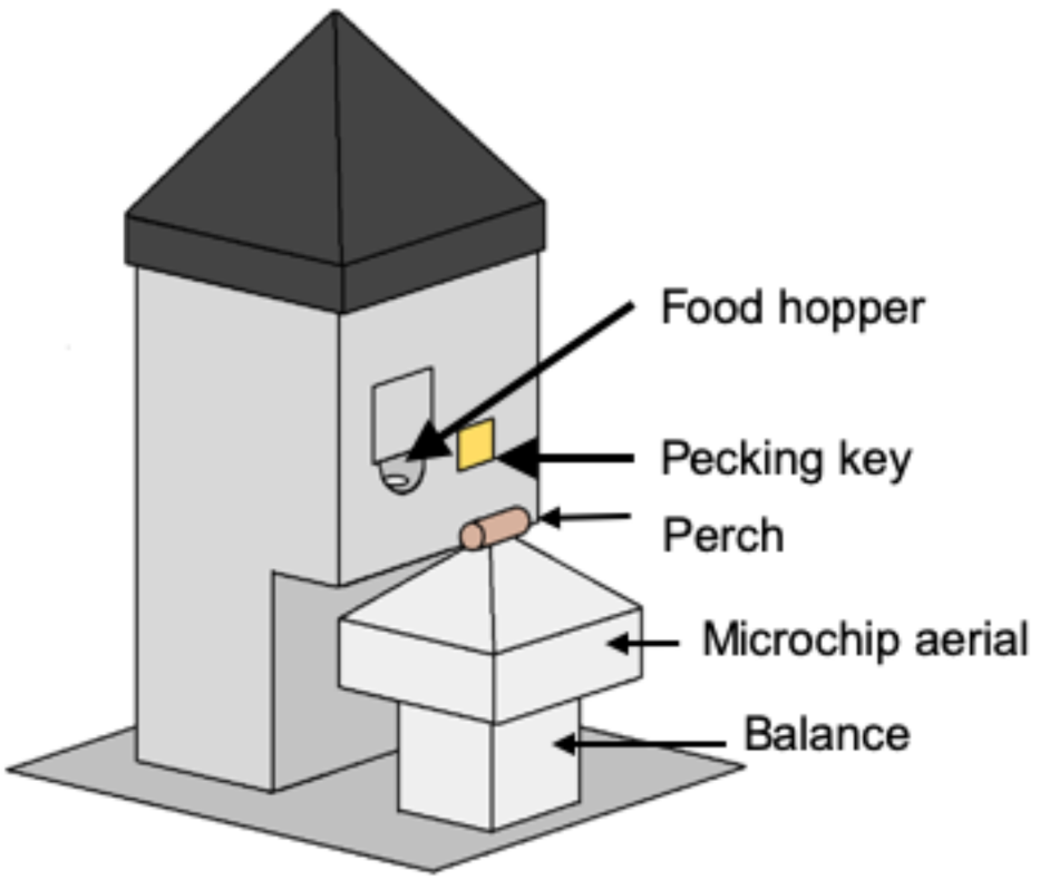 Animals 12 01159 g001