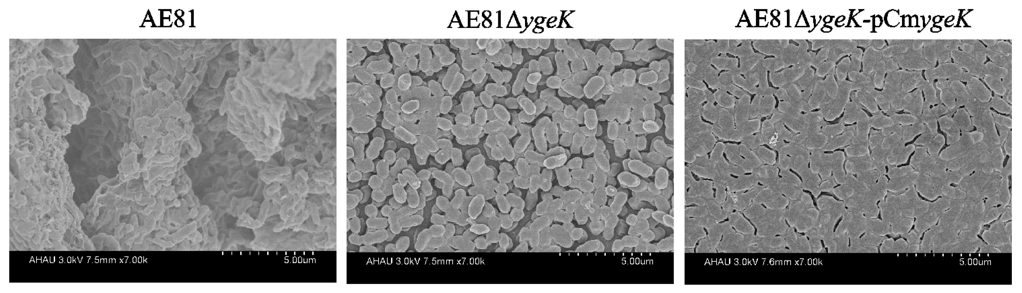 Animals 12 01160 g002