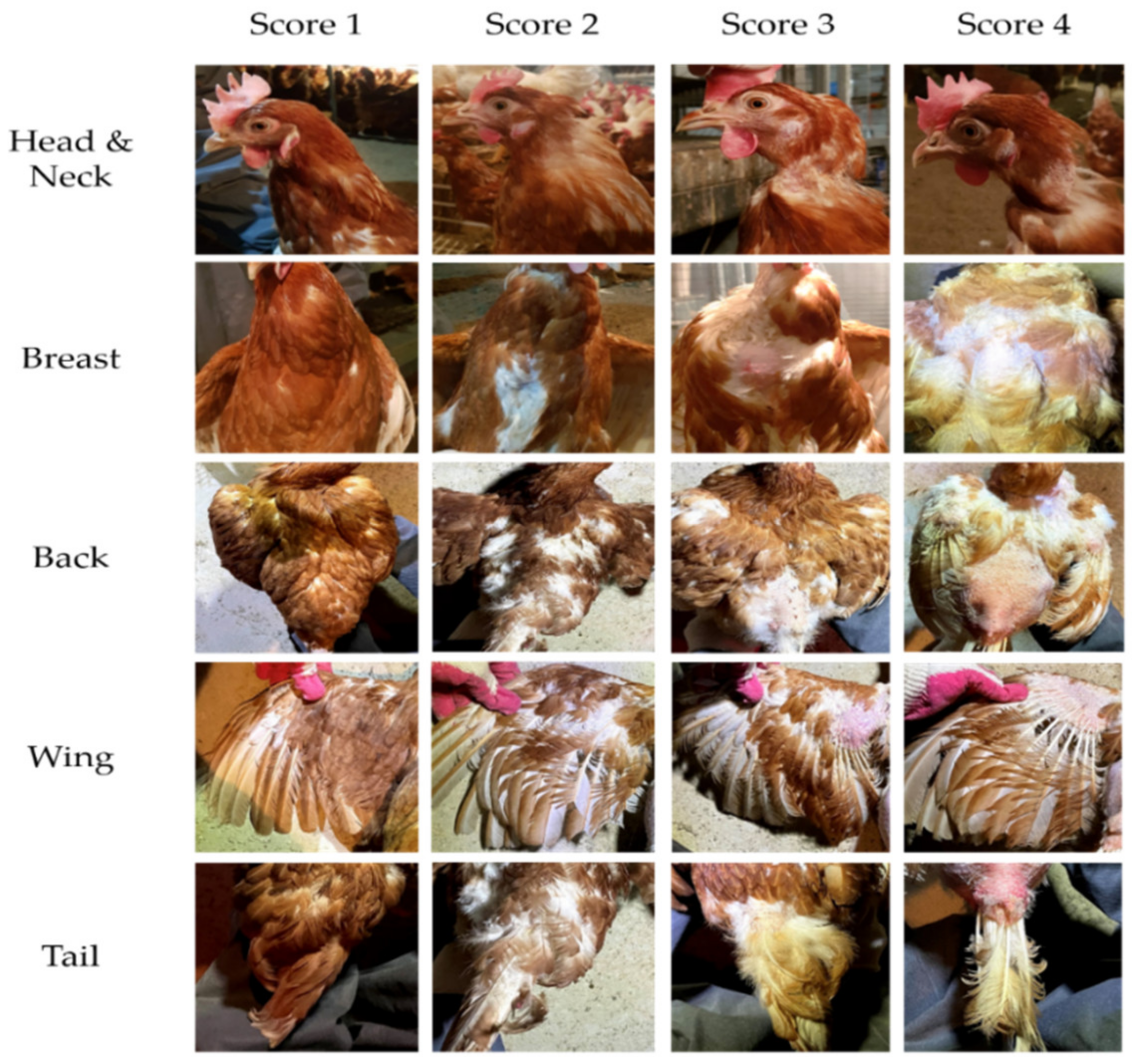 Animals 12 01165 g002