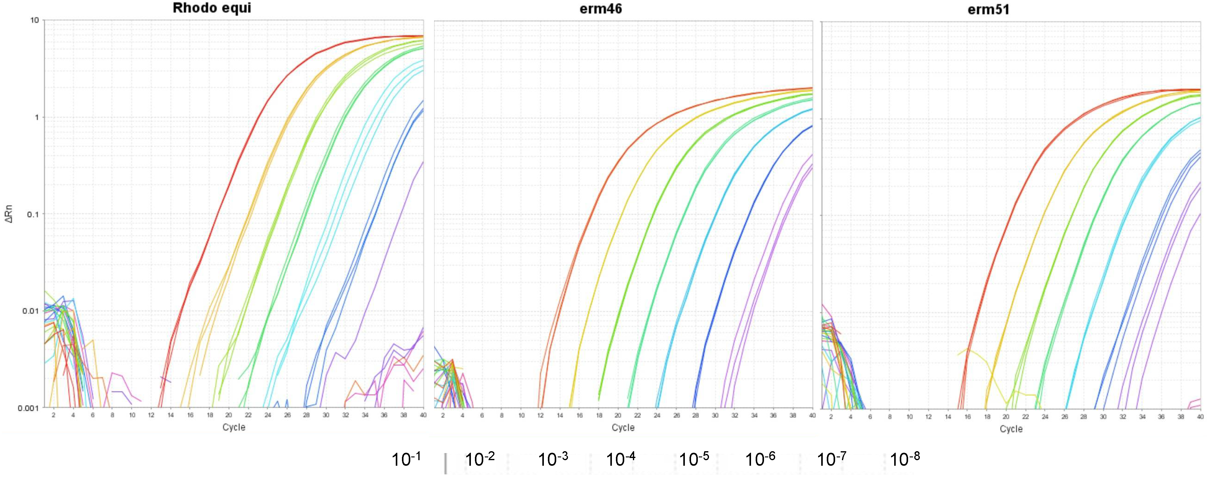 Animals 12 01172 g002