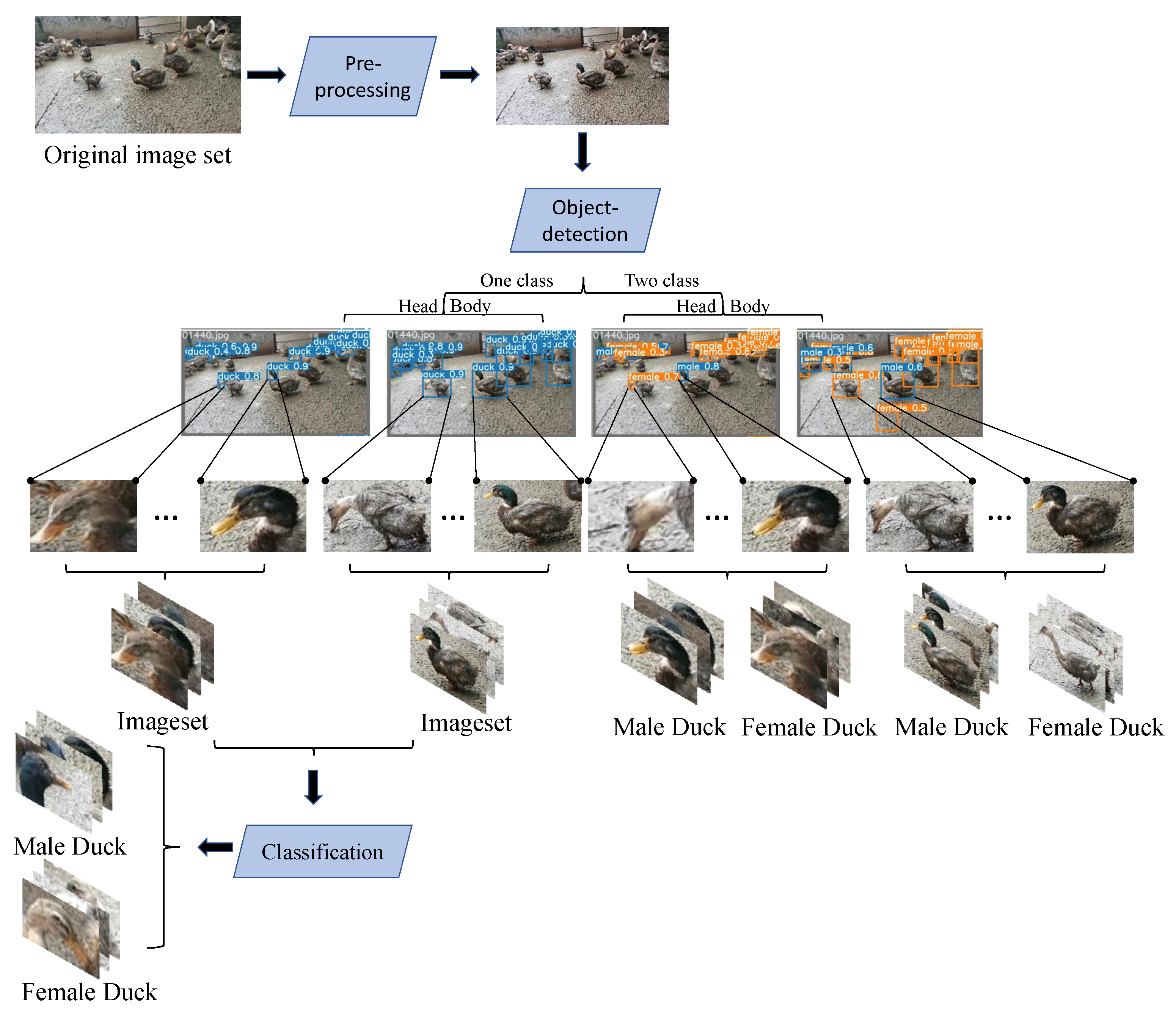 Animals 12 01177 g005