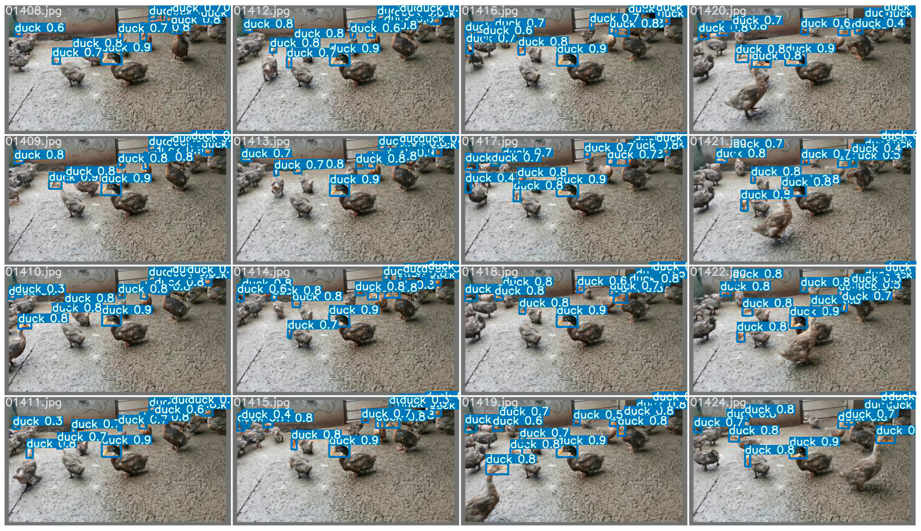 Animals 12 01177 g008