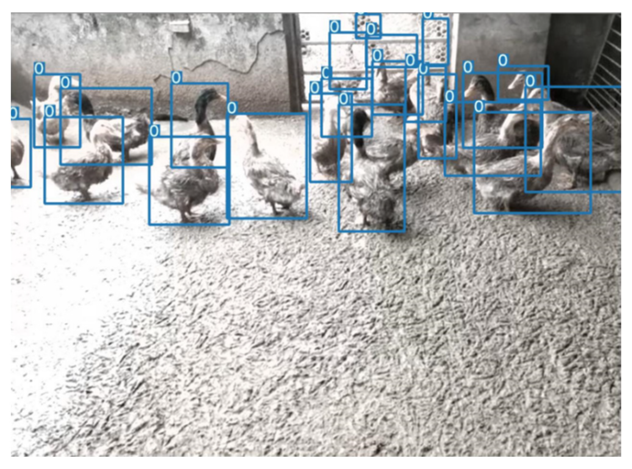 Animals 12 01177 g011