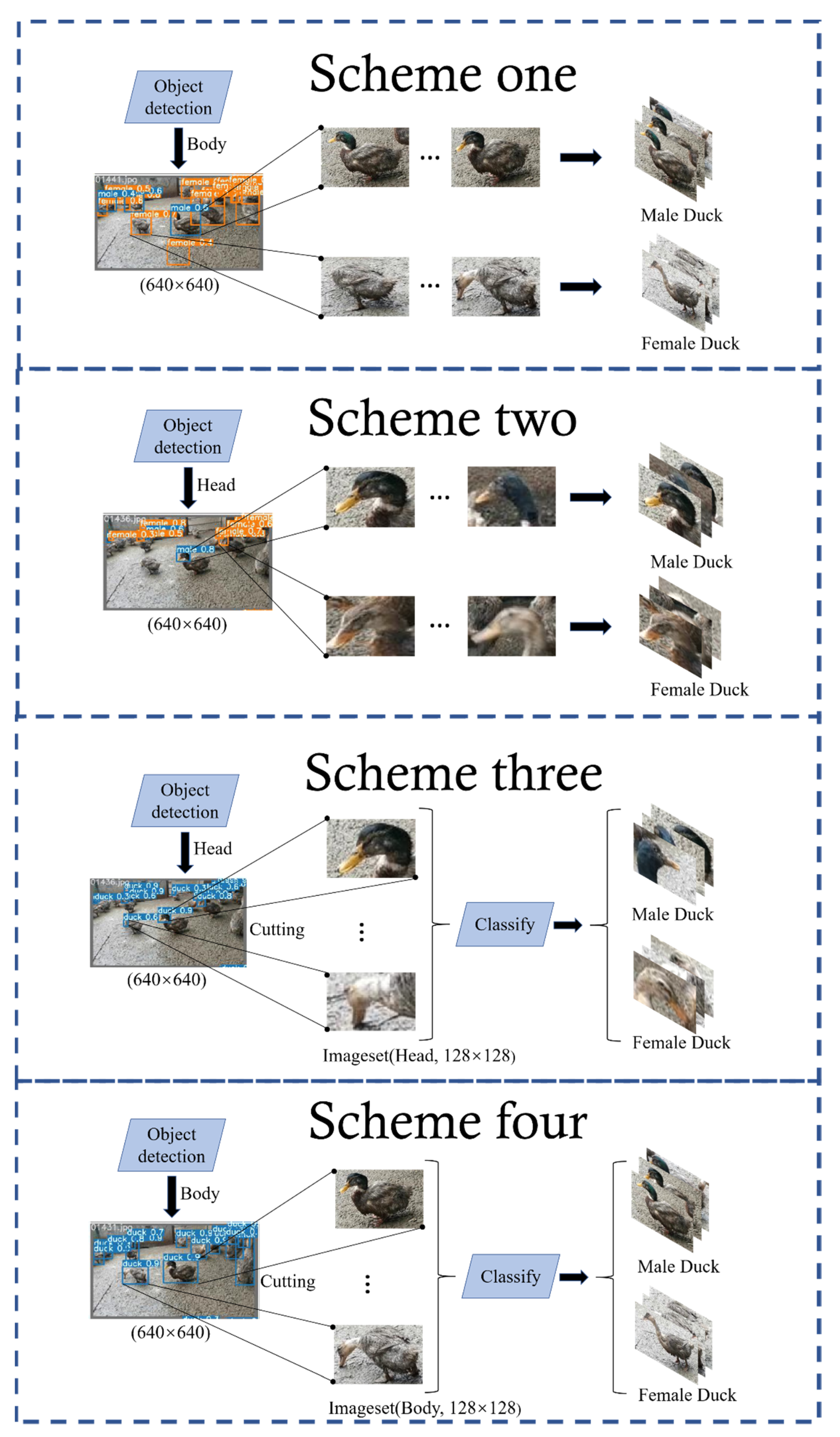 Animals 12 01177 g013