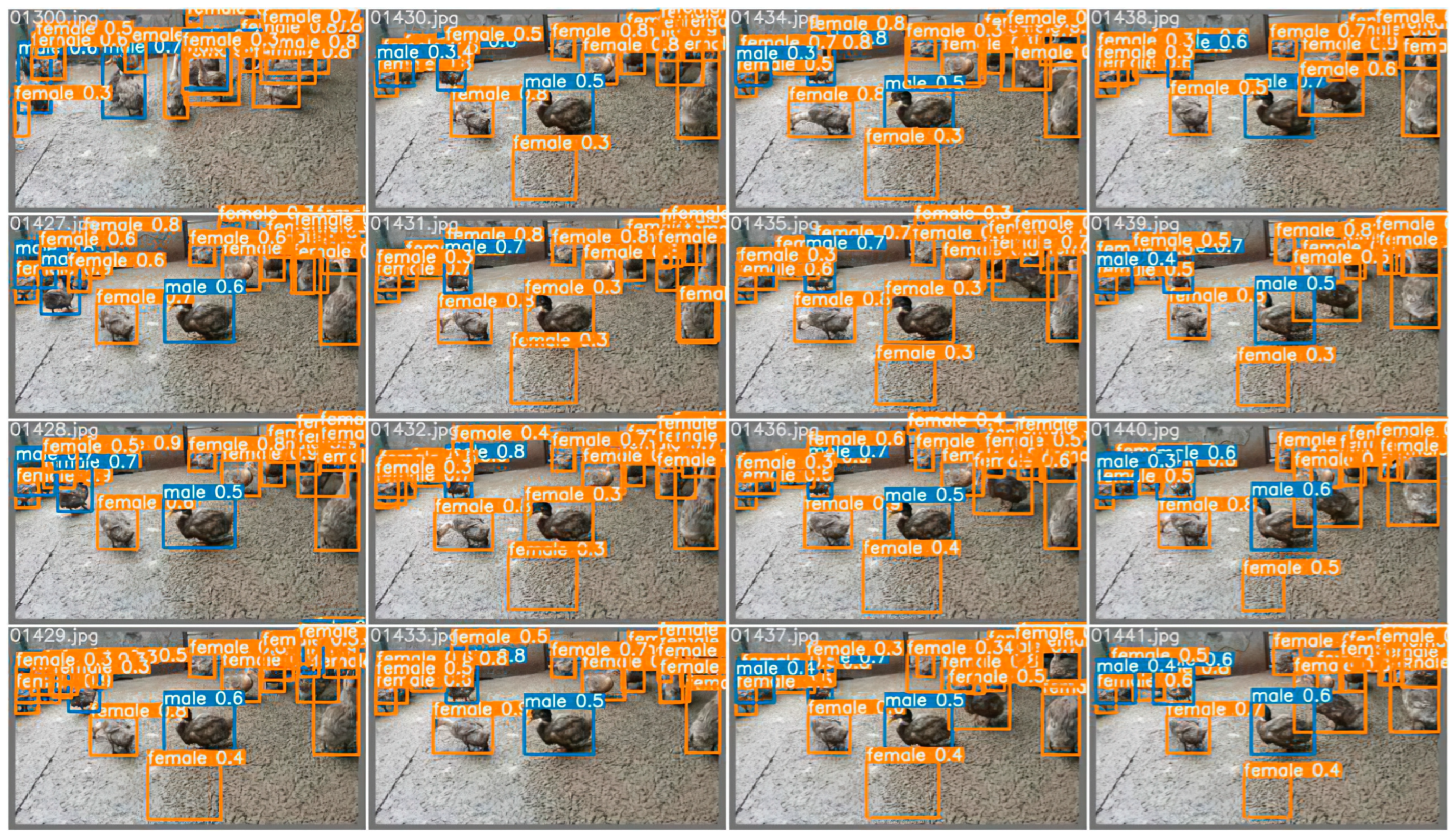 Animals 12 01177 g014