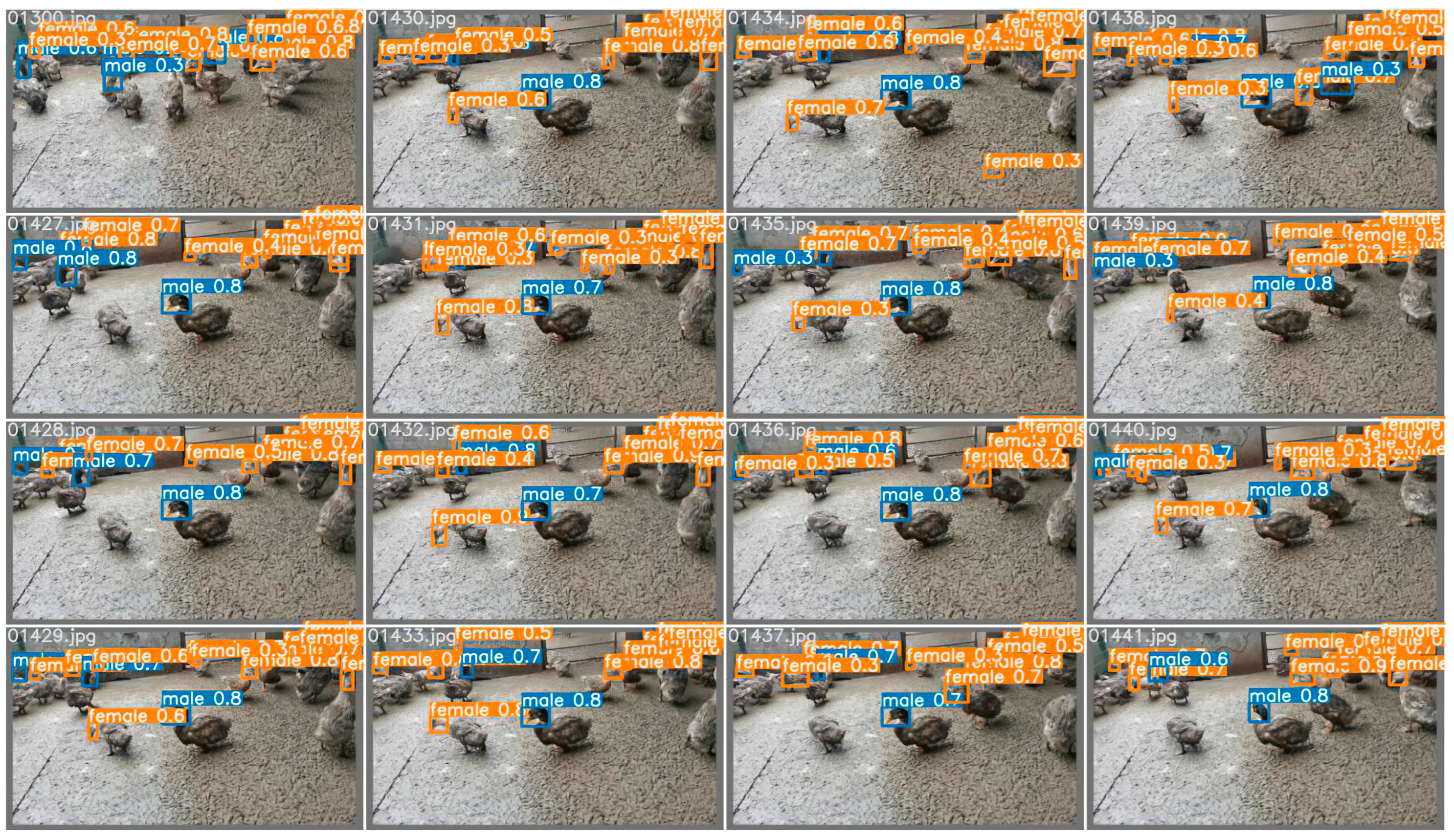 Animals 12 01177 g016