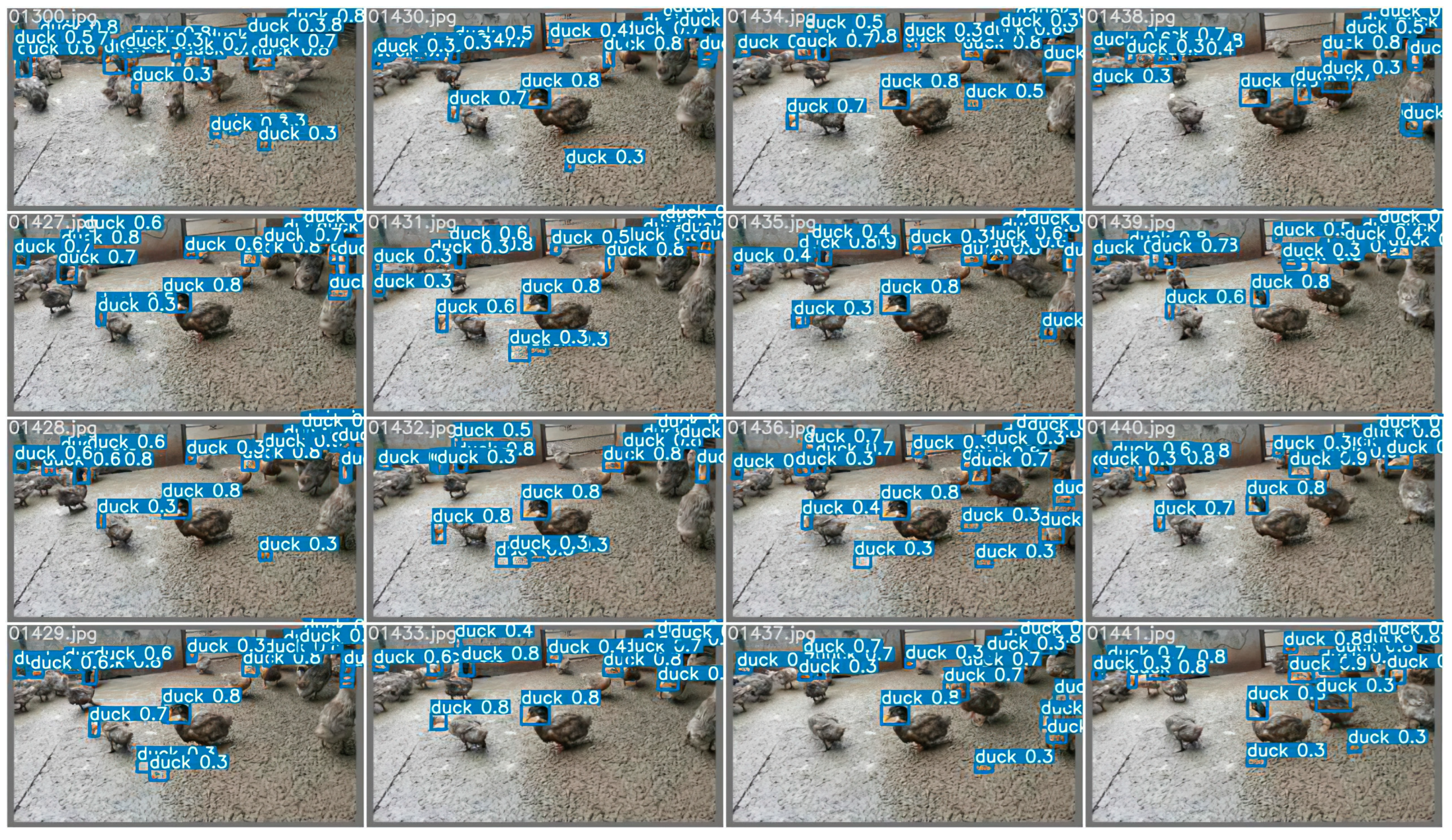 Animals 12 01177 g017