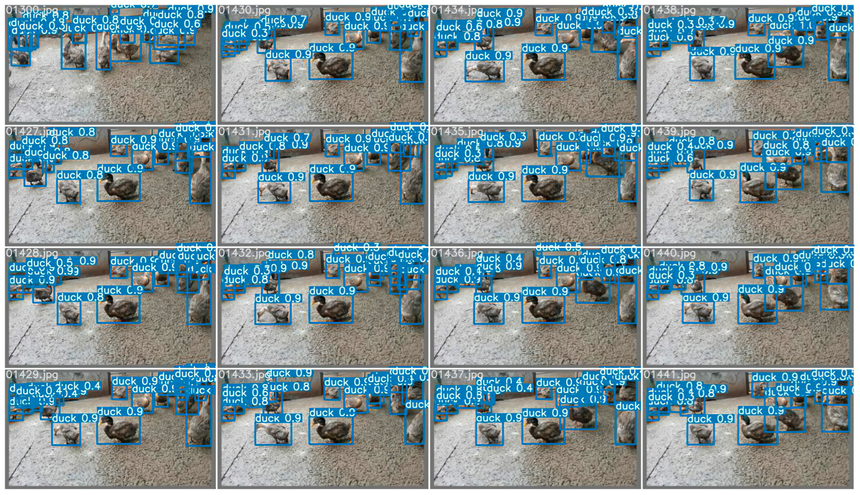 Animals 12 01177 g018