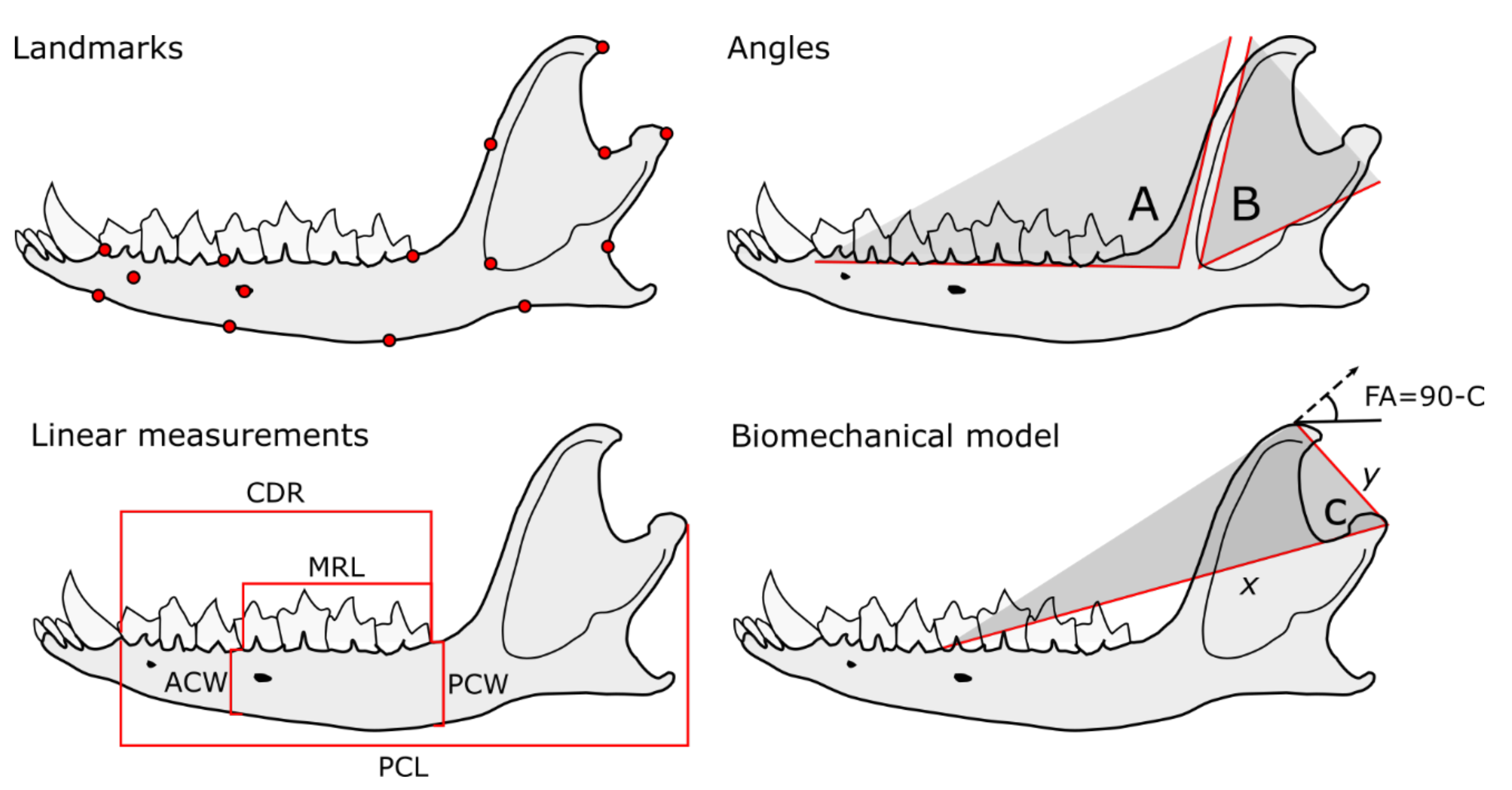 Animals 12 01179 g002 Animals 12 01179 g002