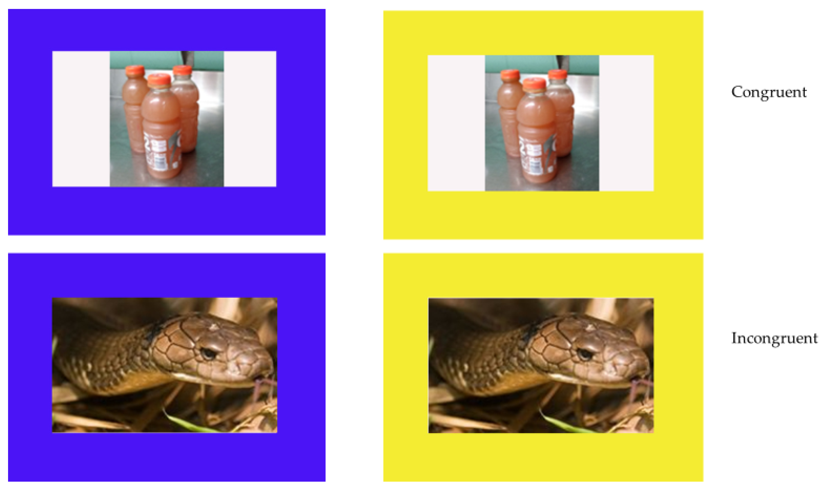 Animals 12 01188 g002