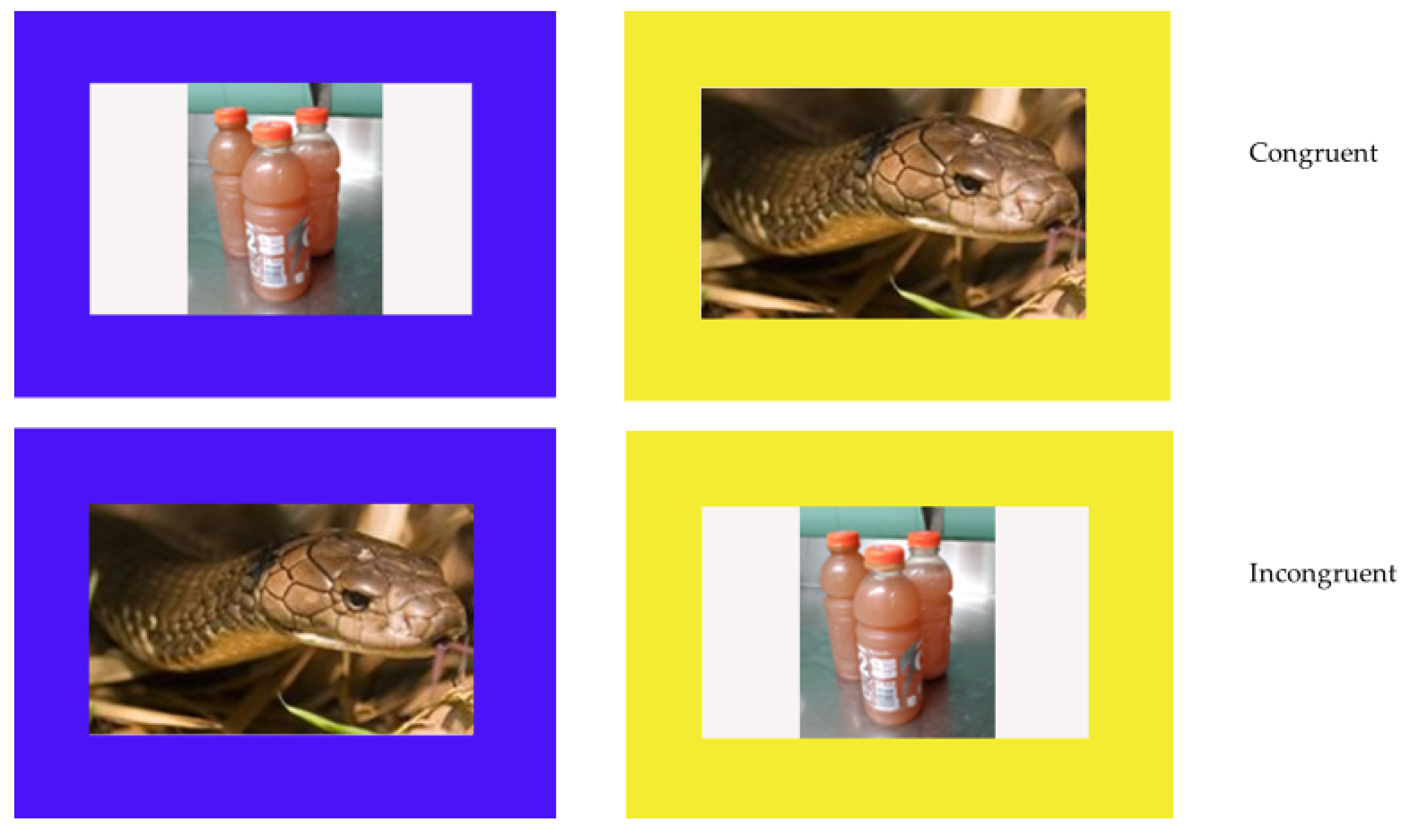 Animals 12 01188 g003